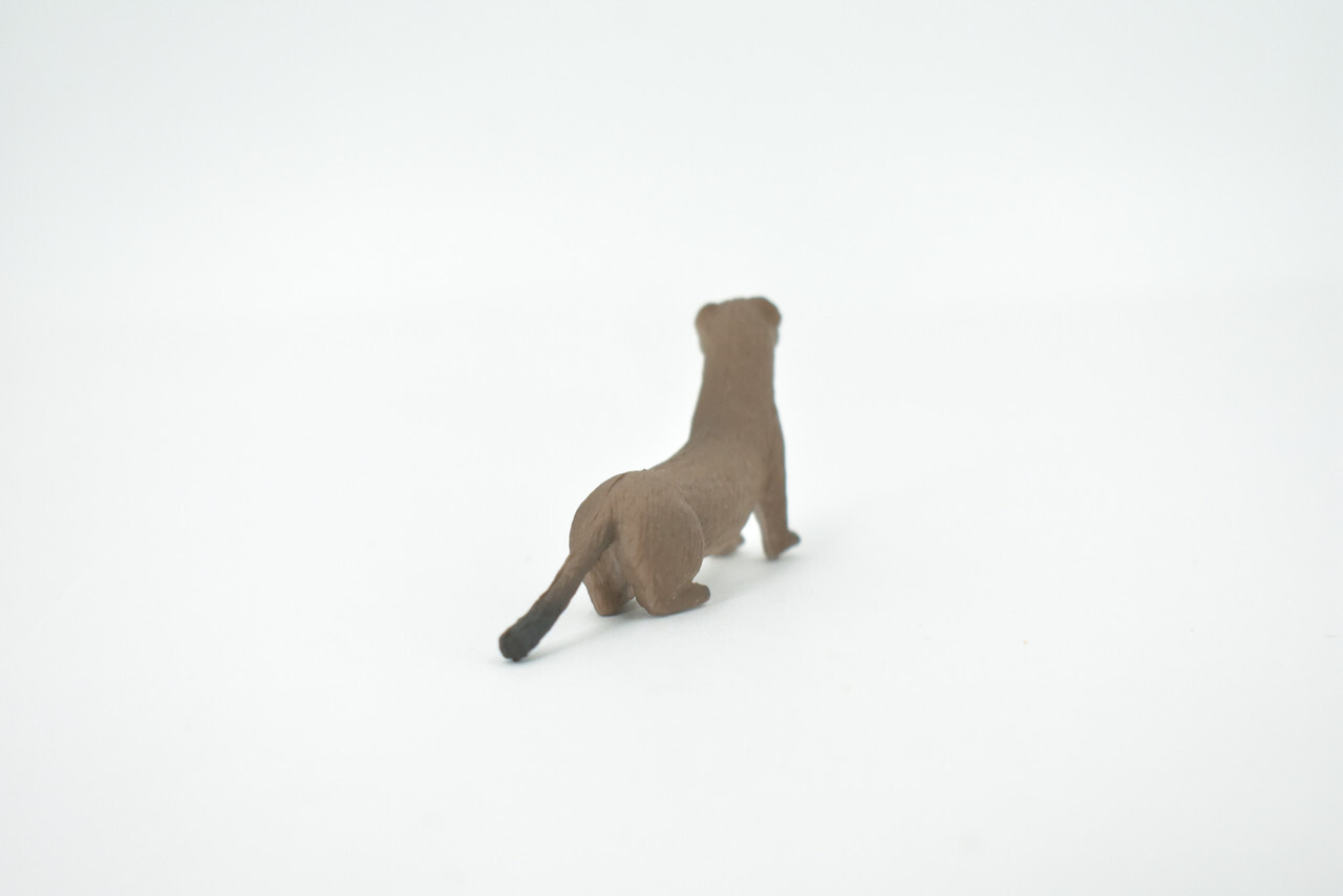 Fisher, Weasel Toy Animal, Realistic, Figure, Model, Toy, Gift, 3" CH534 BB159