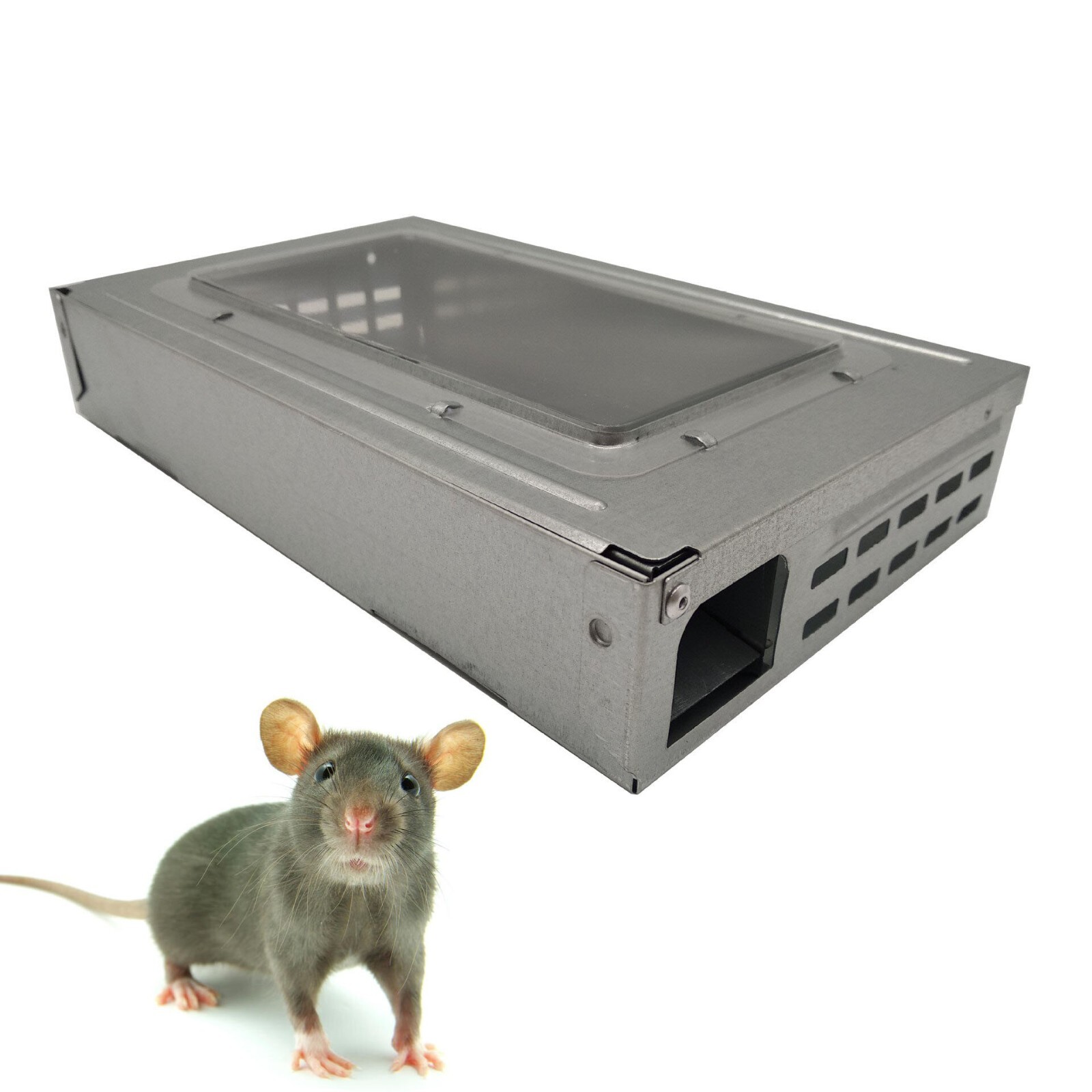 Multiple Catch Mouse Trap Clear Lid Repeater Humane Mouse Trap