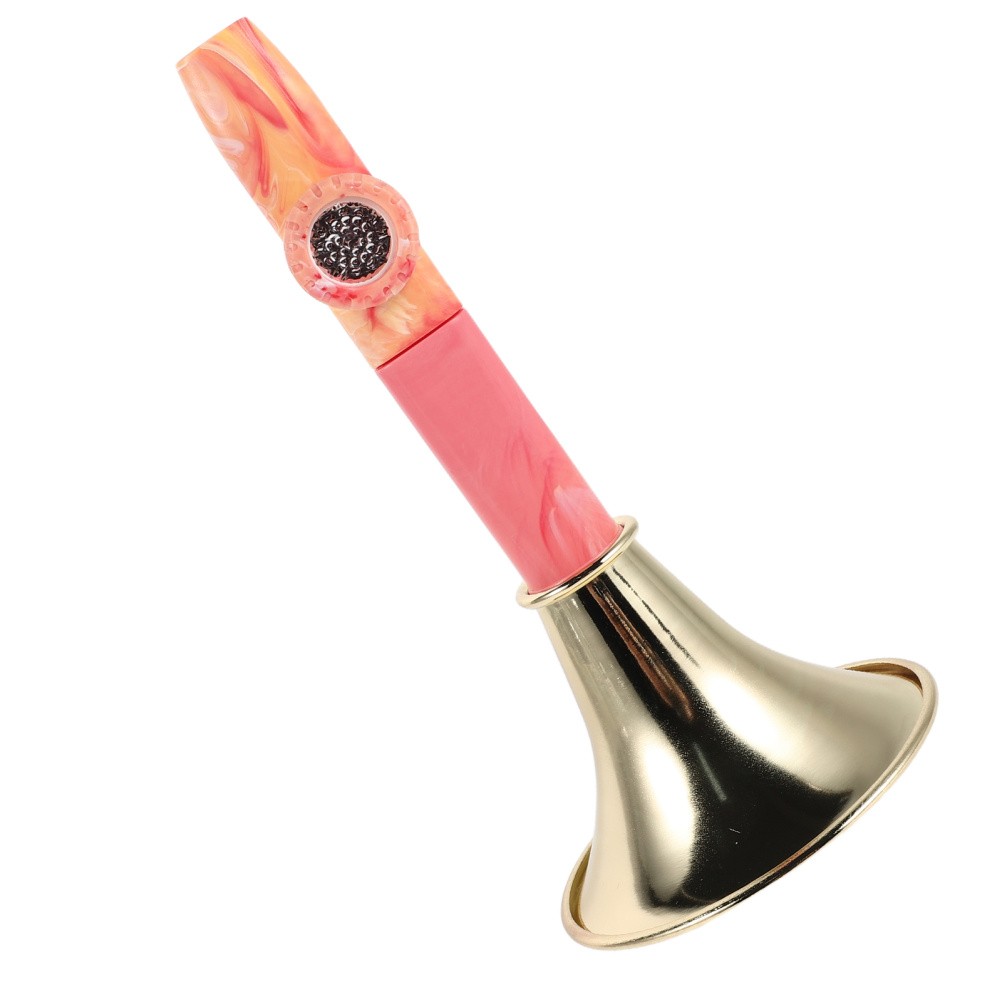 Kazoo Flute: Metal Kazoos with Storage Box - Party Favors for Birthdays