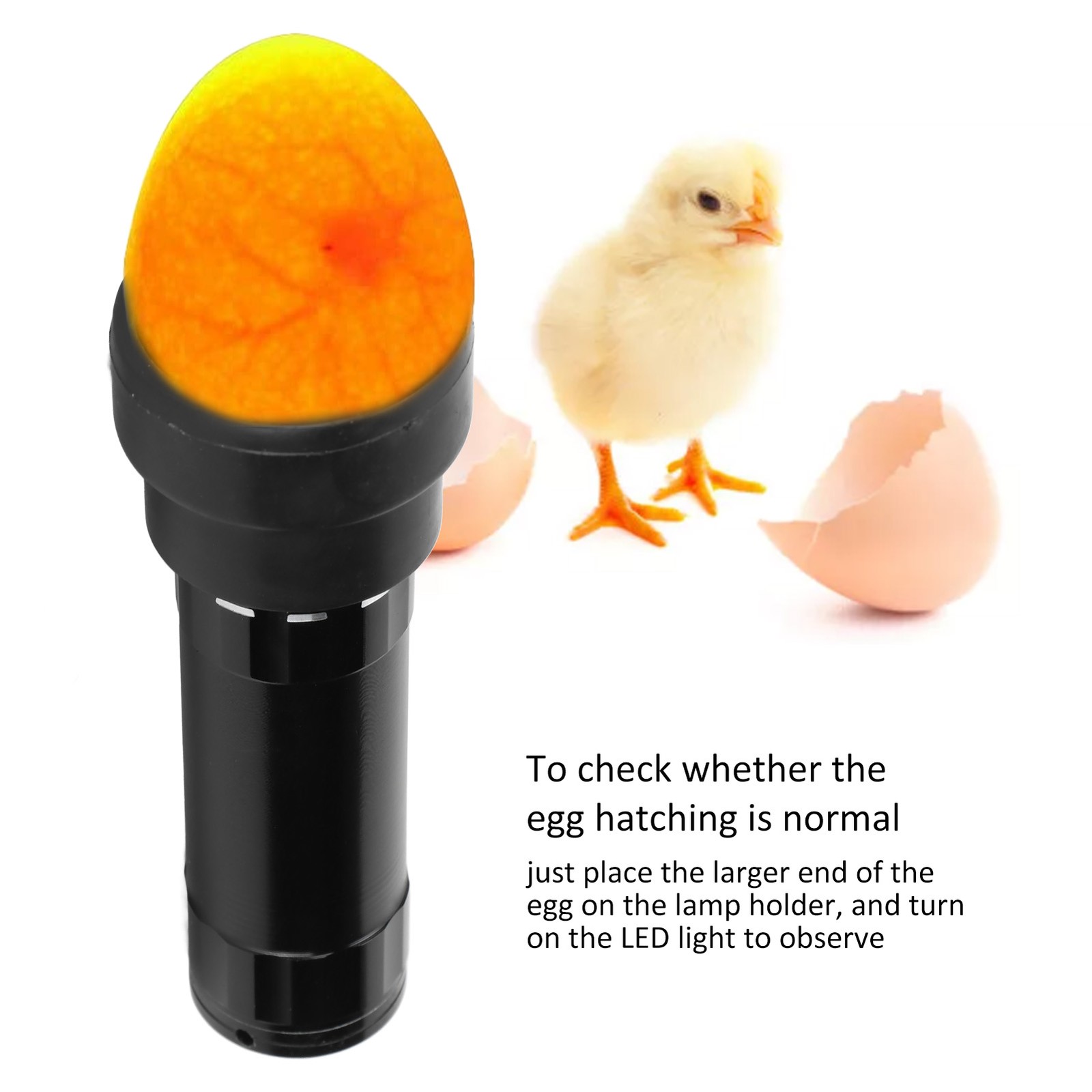 Egg Candler Tester Cool Light Lamp For Checking Egg Hatching Trending