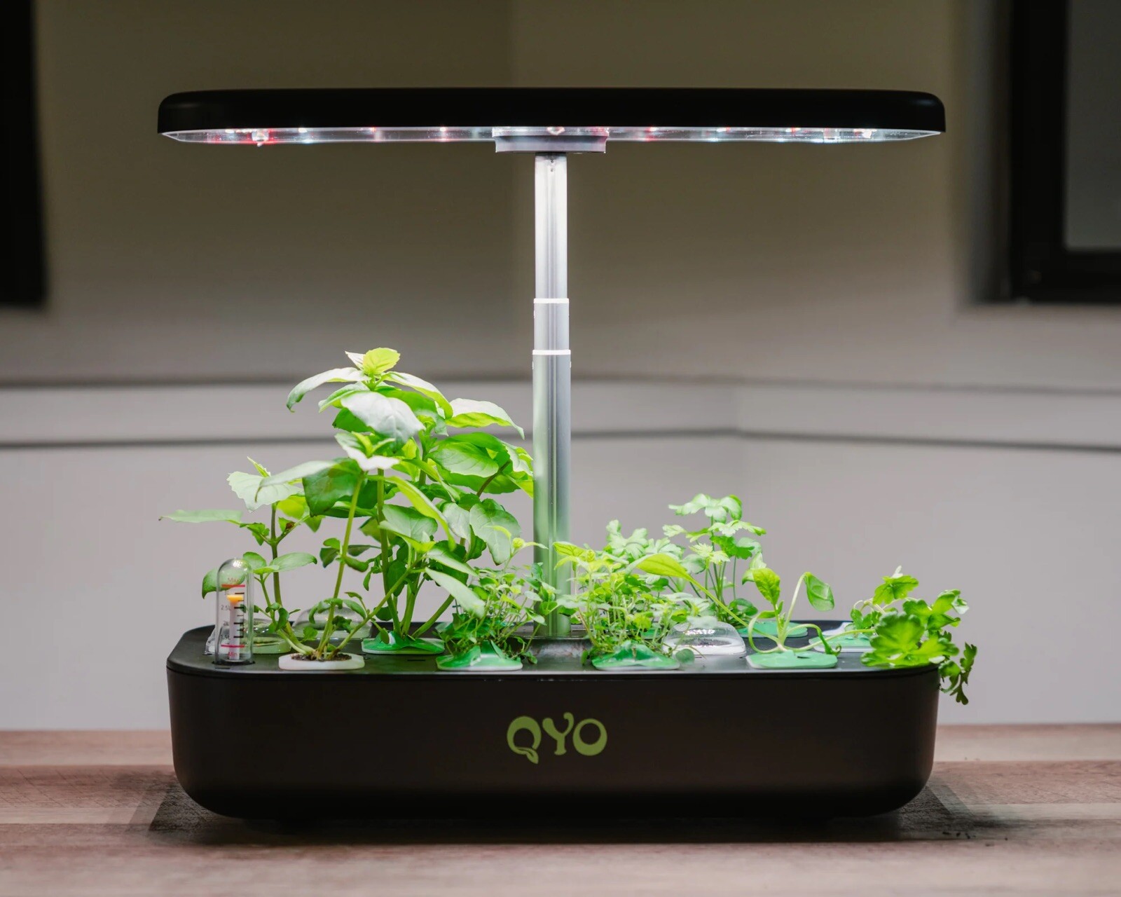 Hydroponic Education MininKit-All Ages NEW Indoor Garden