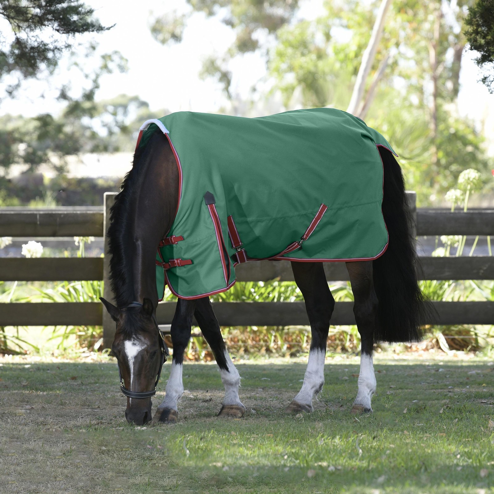 WeatherBeeta ComFiTec Prelim Standard Neck Medium