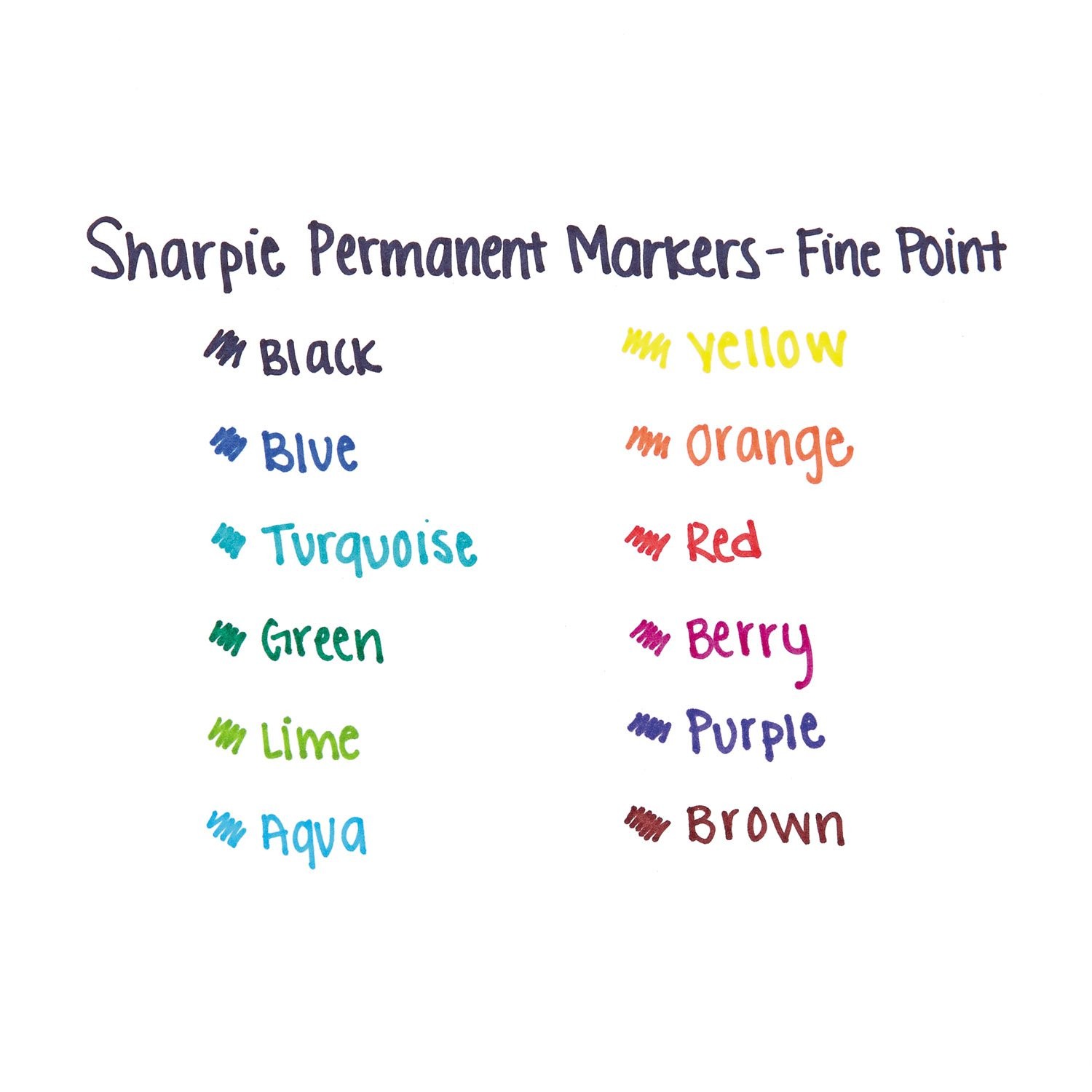 Pen FINE12CT MARKER SET, Multicolor 12 Count
