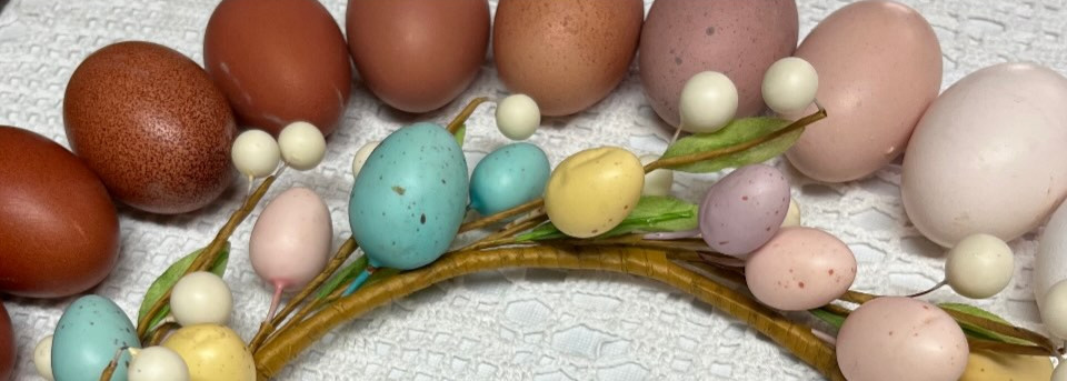 Rainbow Mix Assorted Hatching Eggs(10+) NPIP/A1 Certified