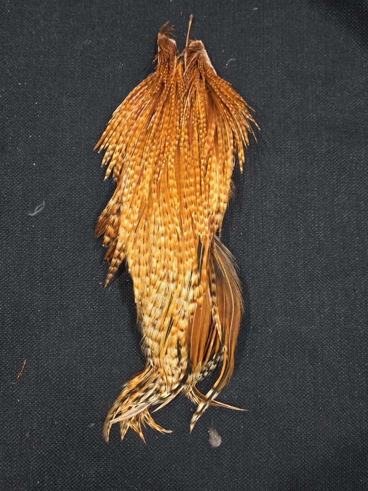 Barred Ginger Rooster Neck Cape Fly Tying Fishing Hackle Feathers  Material