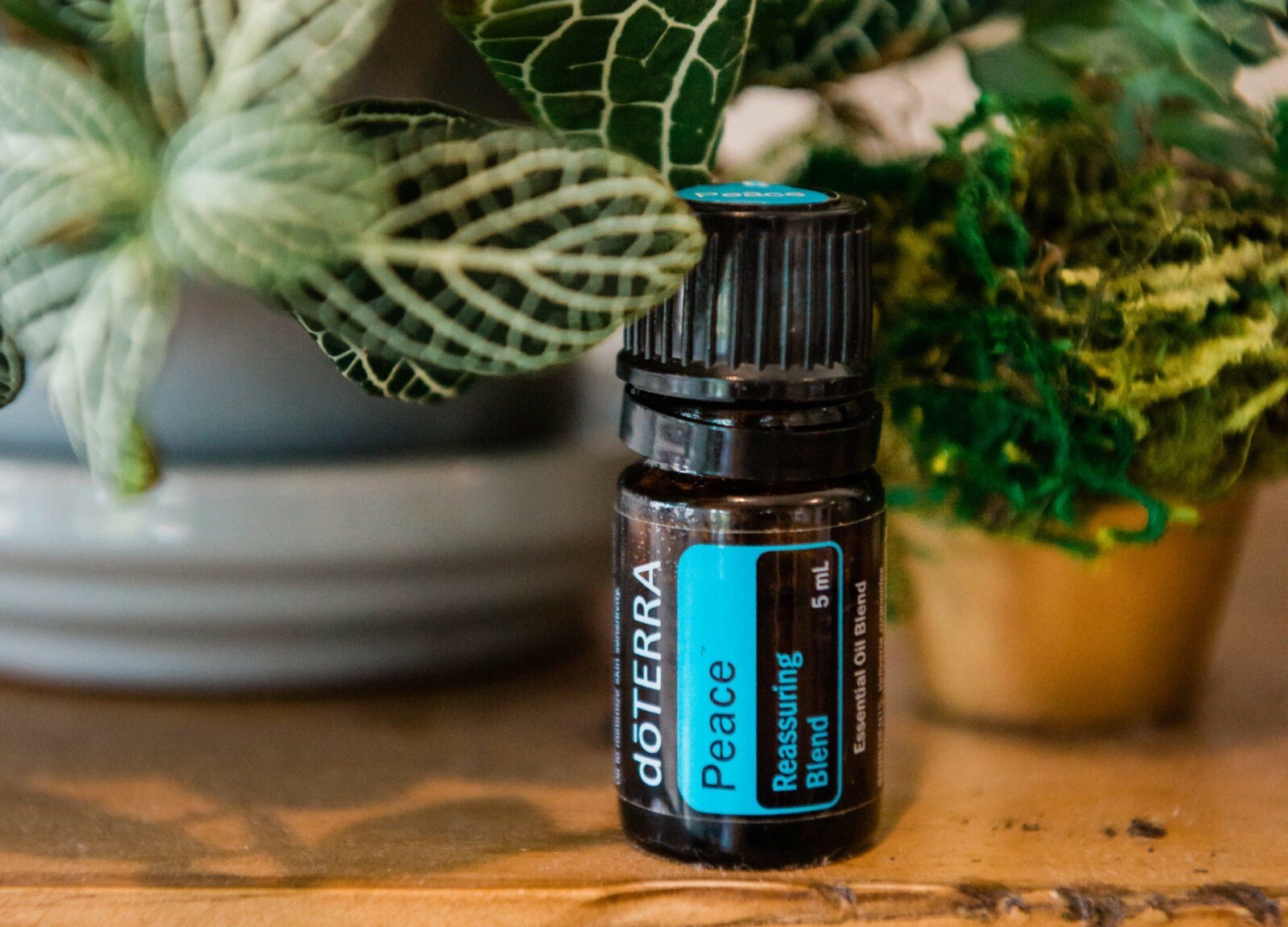 doTERRA Peace Oil 5ml New Sealed FREE SHIPPING
