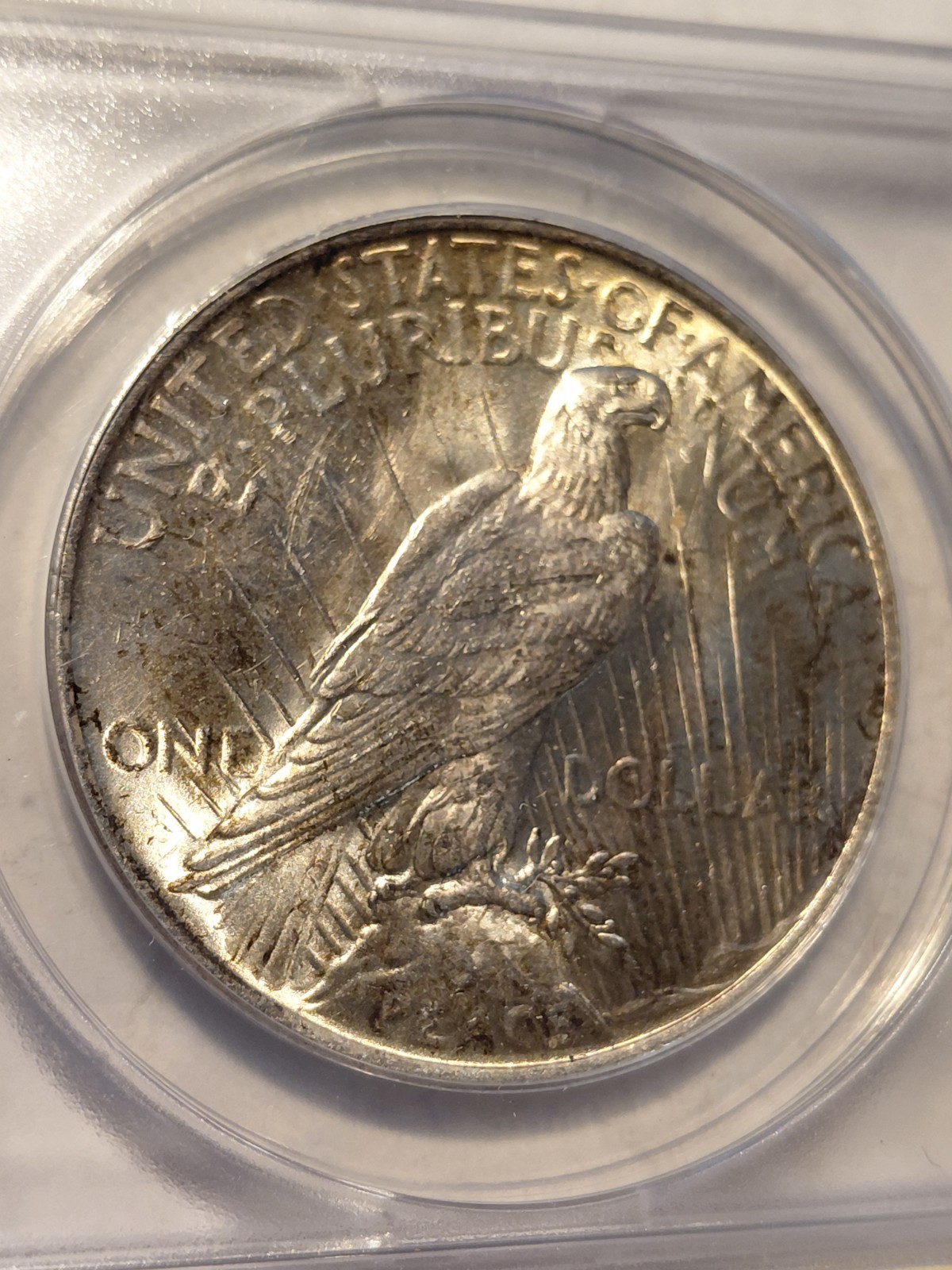 1923 Peace Dollar MS 63 ANACS