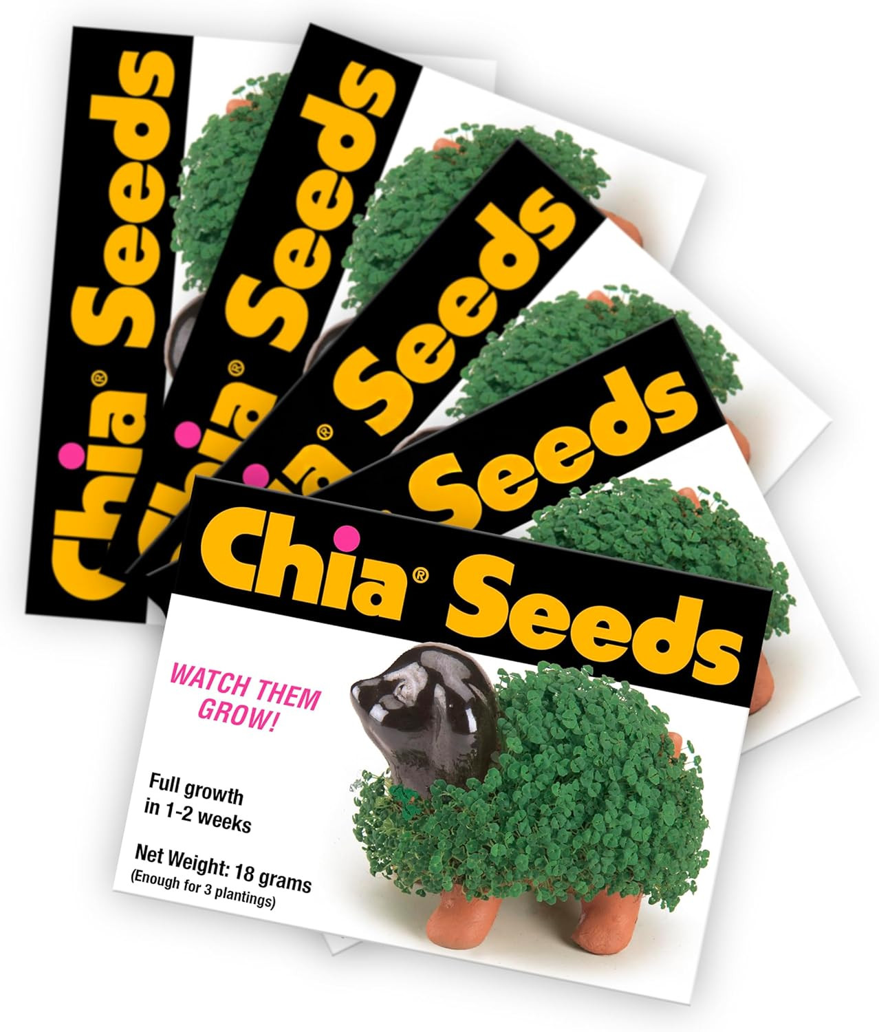 Seed Packet, 5 Count ( Pet Not Included)