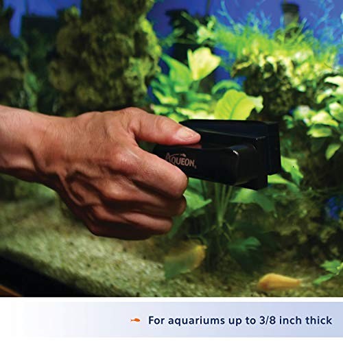 Aquarium Cleaning Magnets Medium