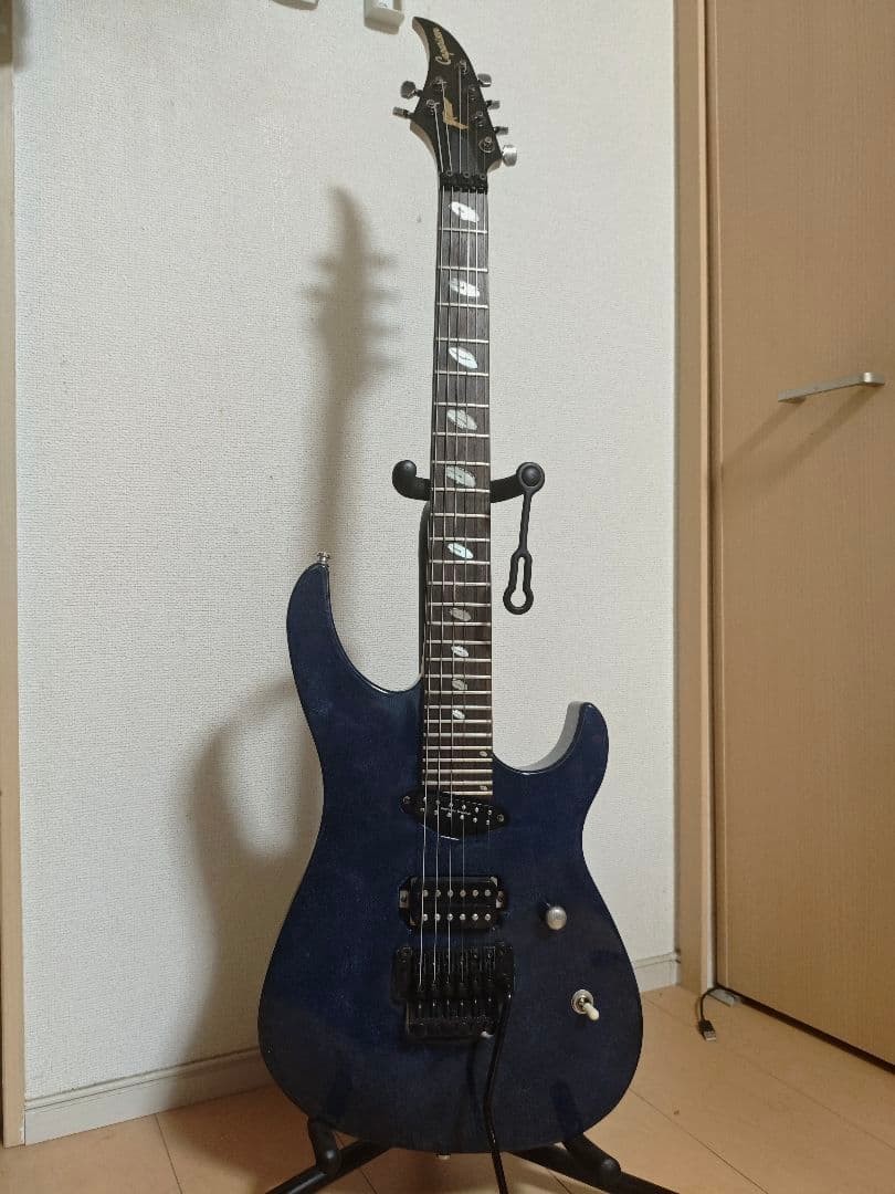 Caparison Horus Guitar Seymour Duncan Pickup Schaller Bridge Soft Case Included
