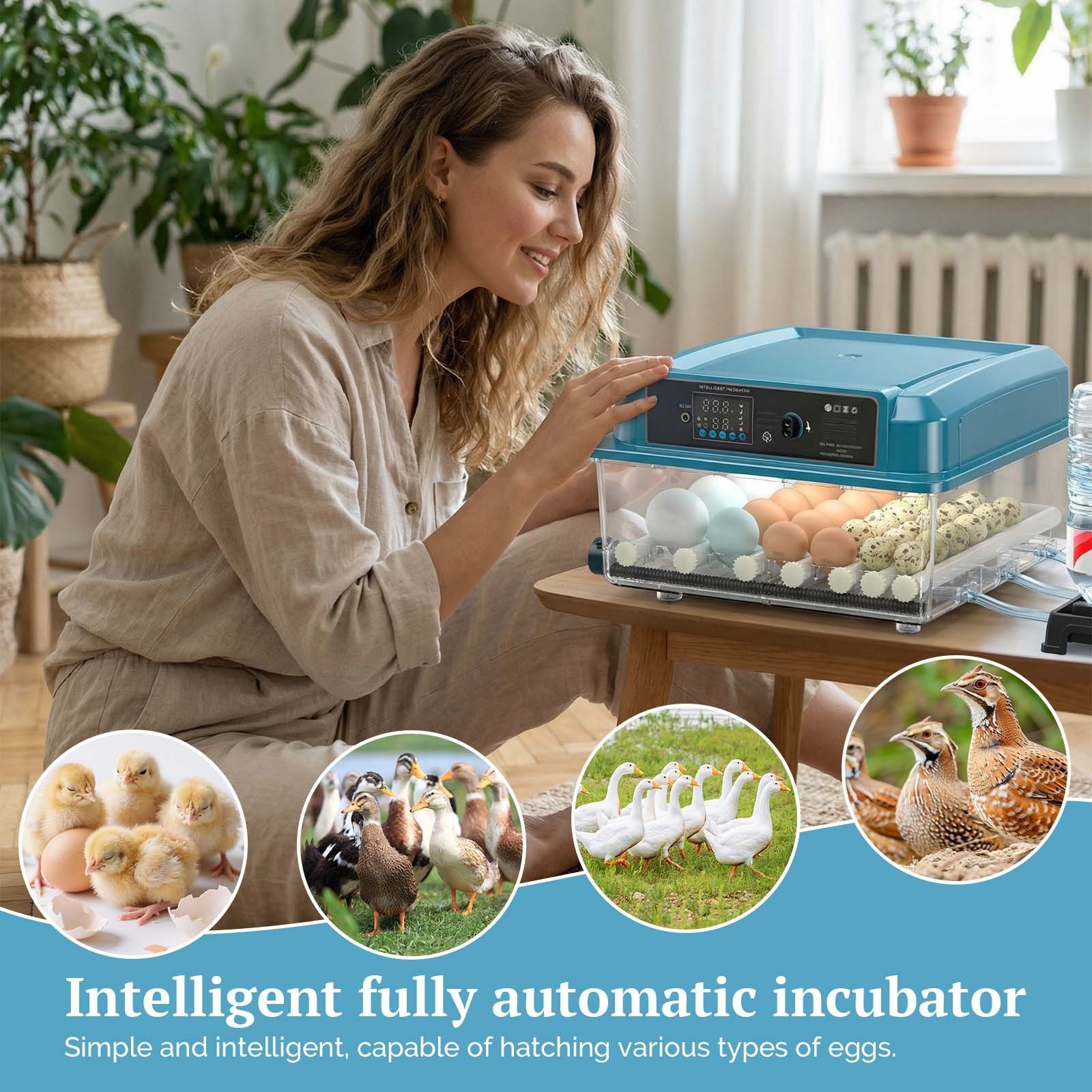 36 Eggs Digital Incubator Hatcher Temperature Control Fully Automatic Turning US