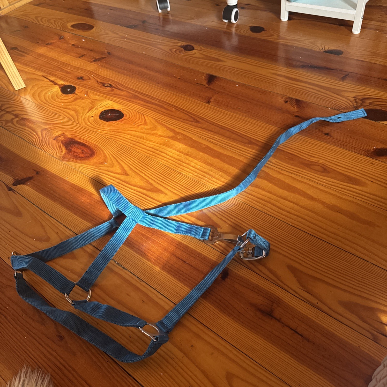 One New, One Used Horse Halters Size Small Green And Blue New Horse Tack Set