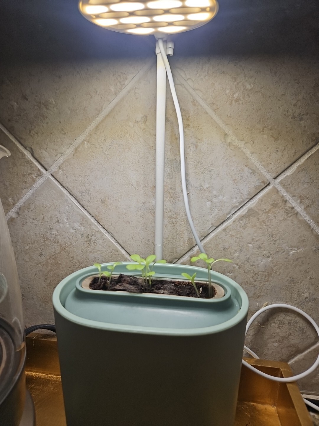 Pret A Pousser Nano Garden