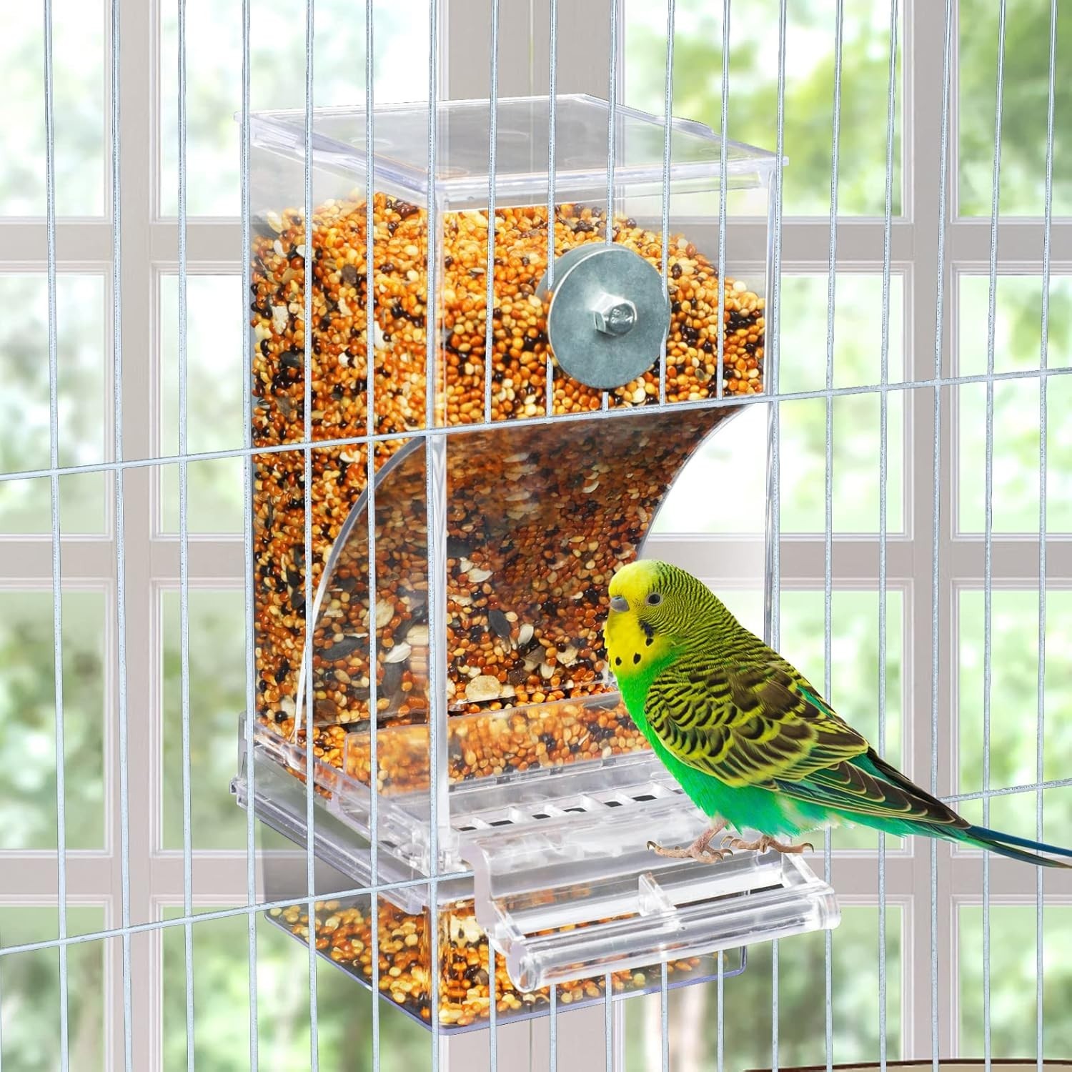 Comederos para aves