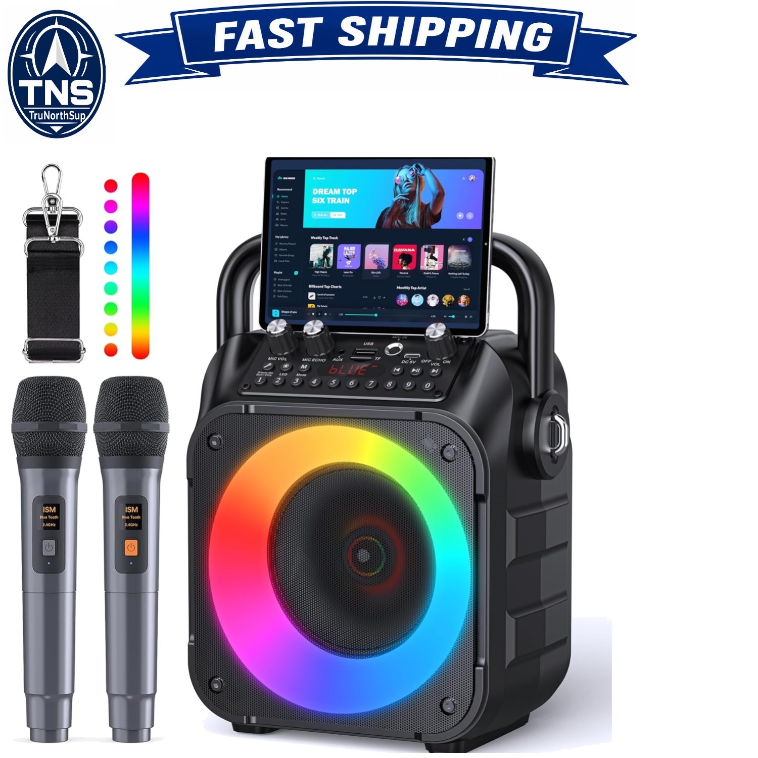 Portable Bluetooth Karaoke Machine with 2 Wireless Microphones Lights USB TF AUX