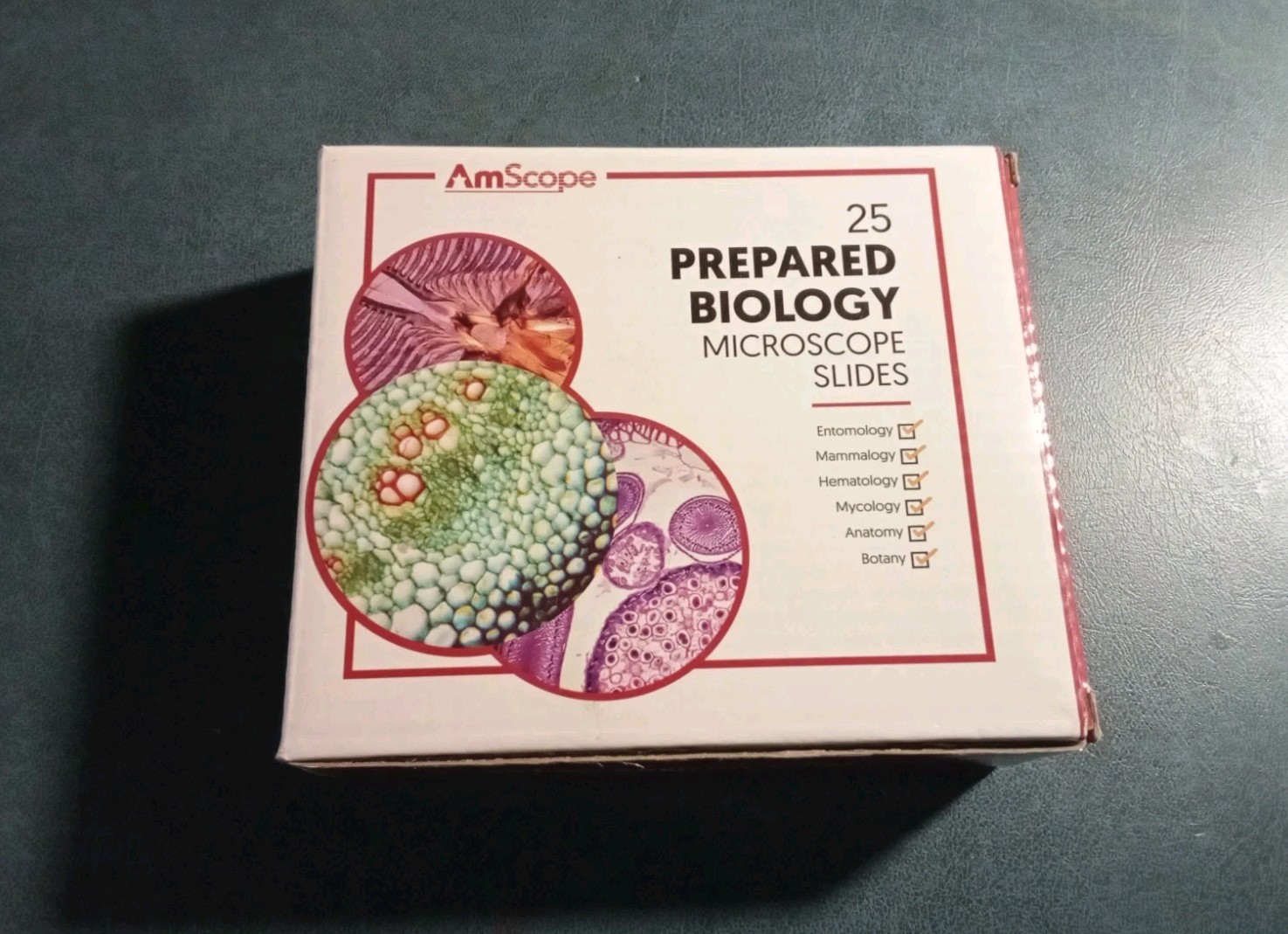AmScope 25 Prepared Biology Microscope Slides Wood Case Animal Plant Homeschool