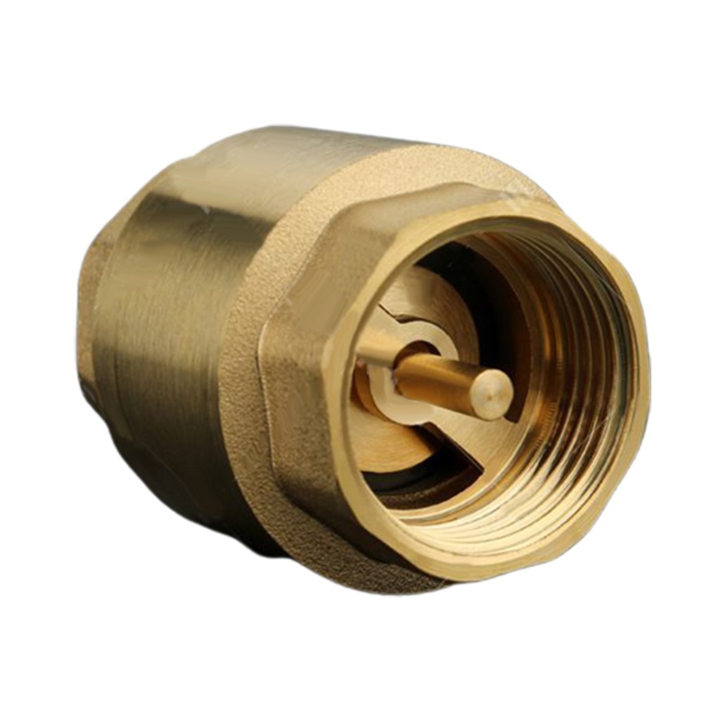 High Quality Valve Vertical Check Valve For High Loads Home Improvement
