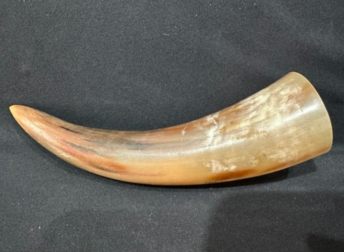 Vintage Genuine Cow Horn - Could Be Made into a Black Powder Horn or Sound Horn