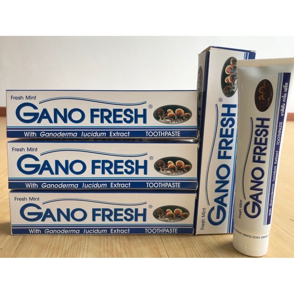 2 Boxes x 150g GANO EXCEL GANO FRESH TOOTHPASTE GANODERMA Free Shipping