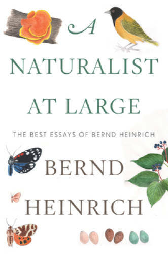 A Naturalist at Large: The Best Essays of Bernd Heinrich - Hardcover - GOOD
