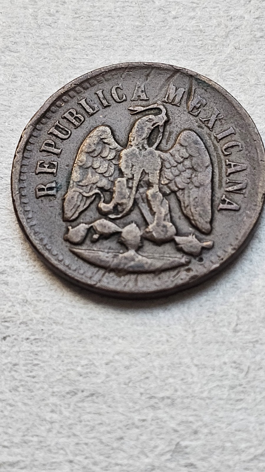 Mexico / 1 Centavo / 1895-Mo / KM#391.6 / (03-1228)
