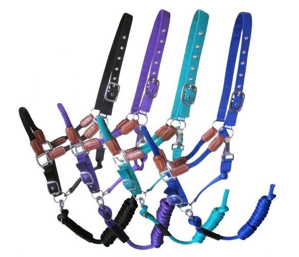 Nylon HALTER Leather Accents at Stress Points & Removable 8' LEAD ROPE