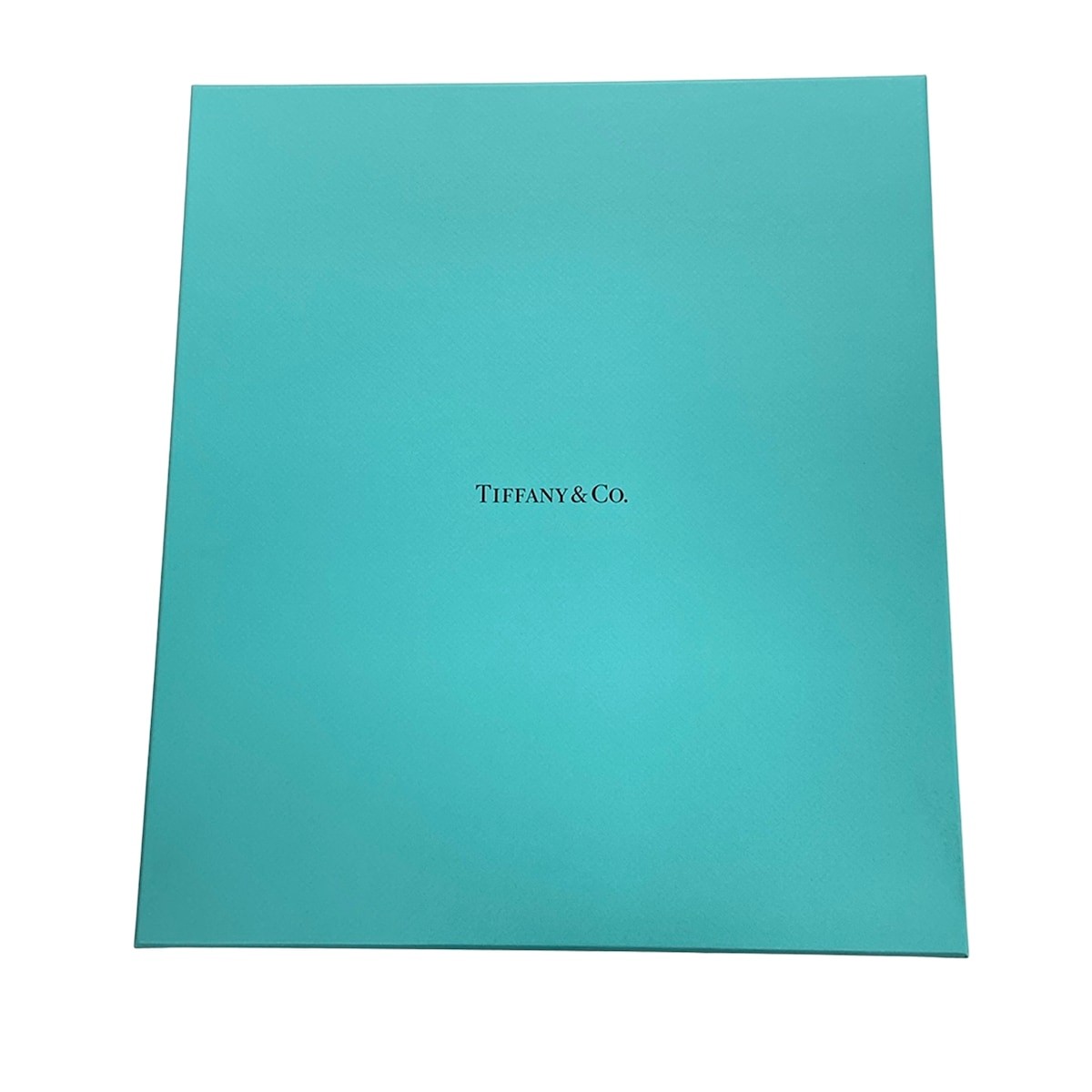 TIFFANY&Co. - Navy Paper Accessory