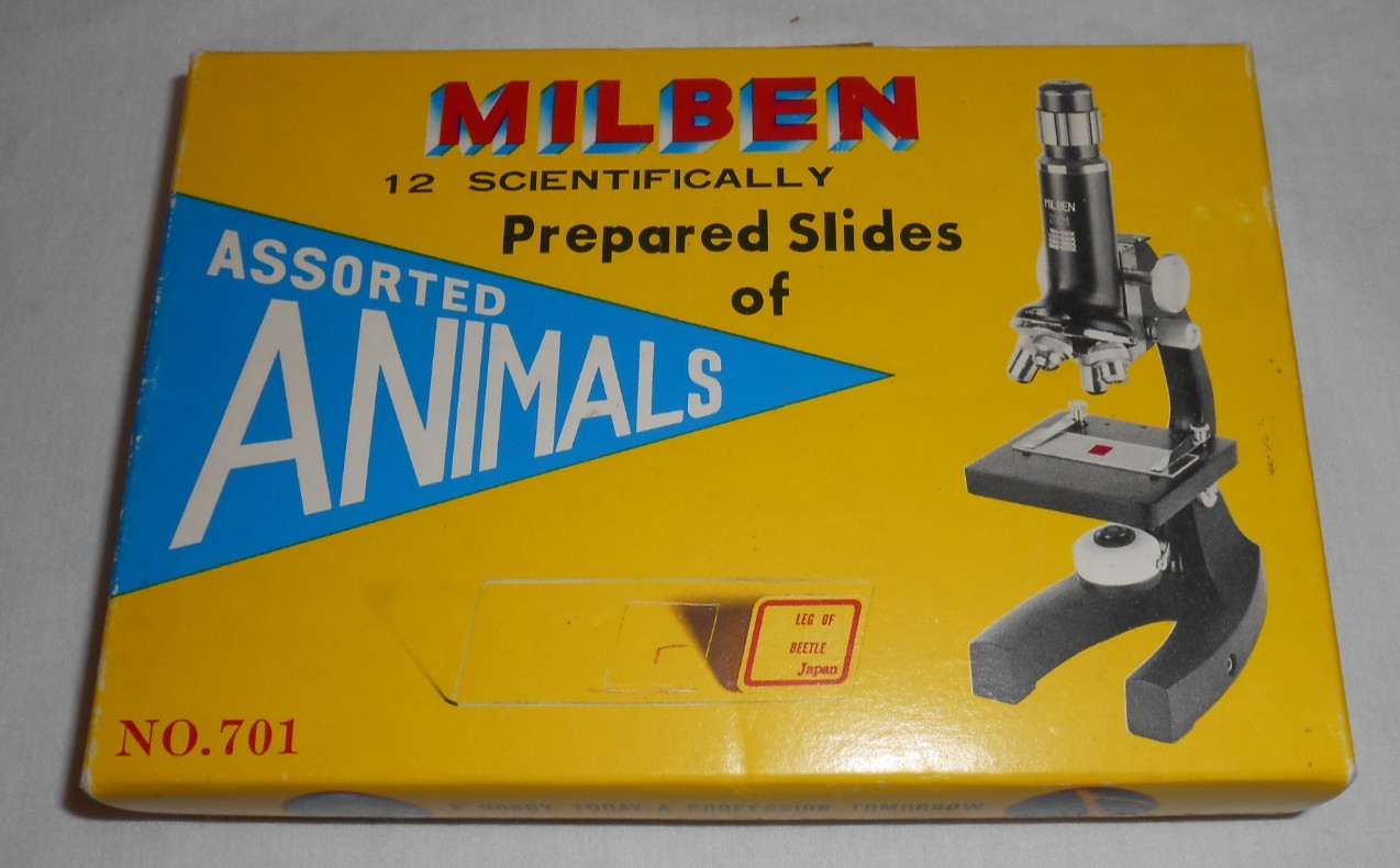 Vintage Milben Scientific Assorted Animals 12 Slides Complete # 701