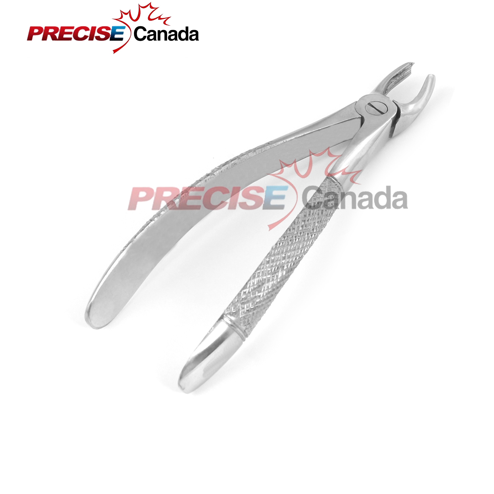 Extracting Forceps # 39R English Pattern Surgical Dental Instruments
