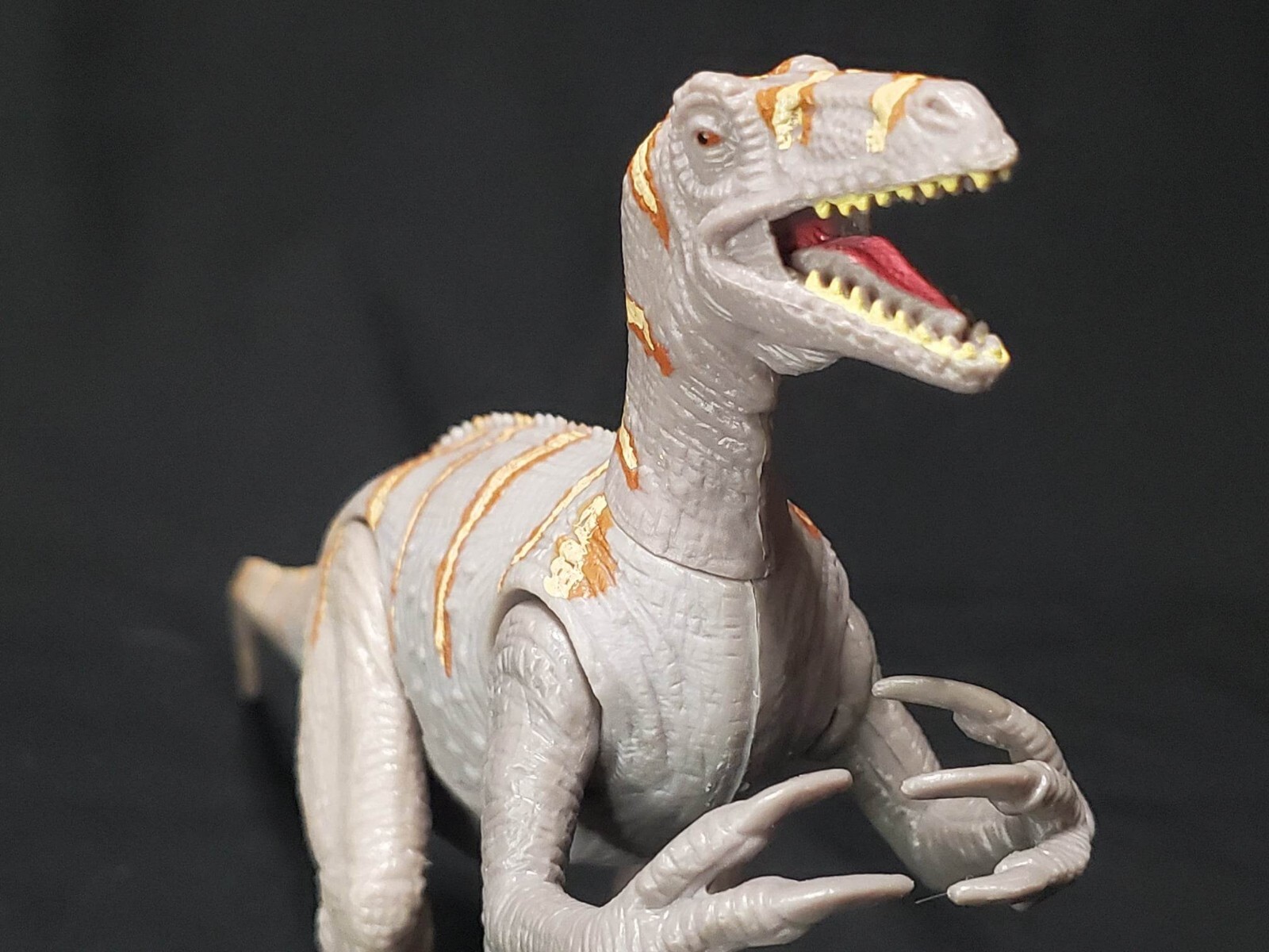 Australovenator Dinosaur 4.75" Educational Toy