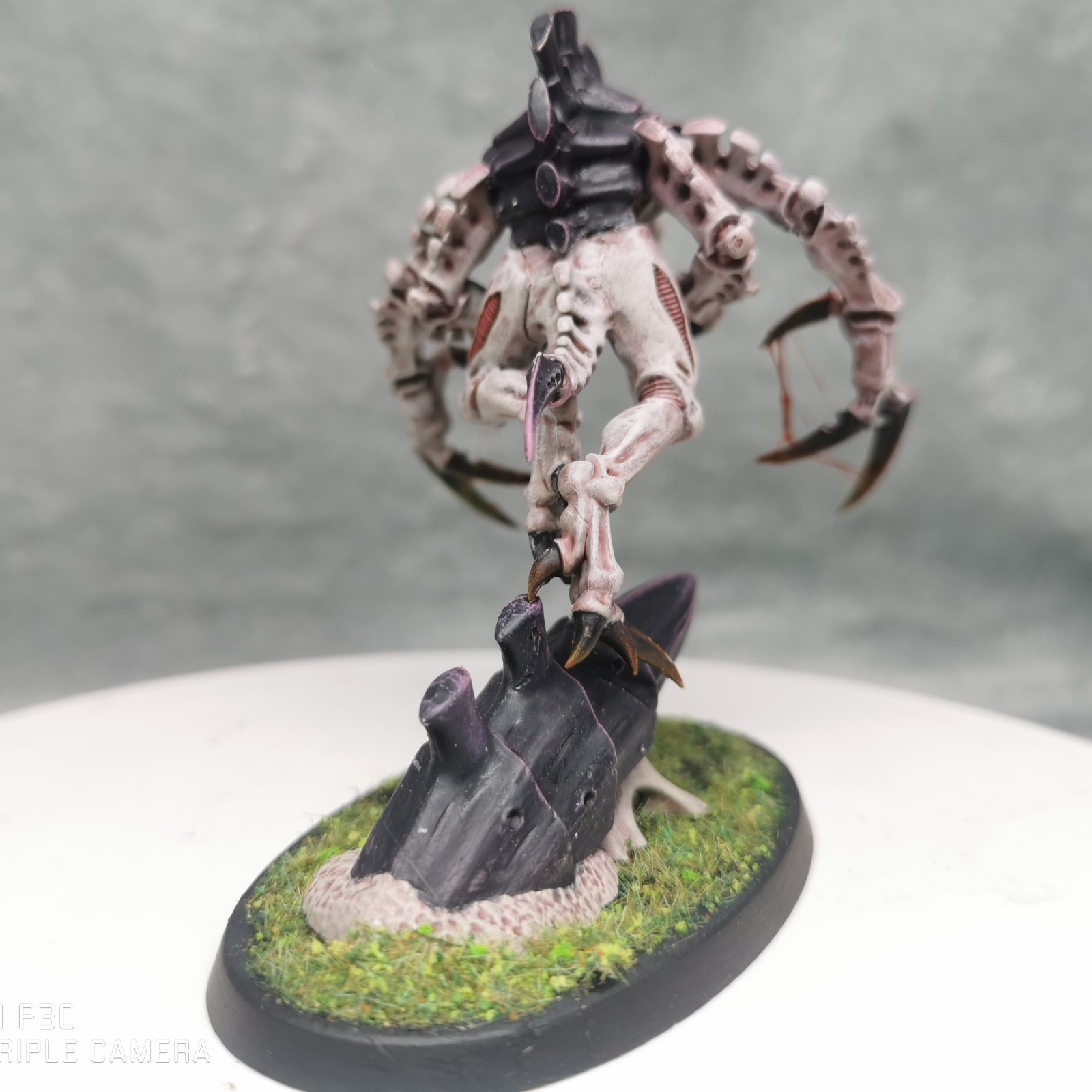 Presale Tyranids Broodlord Figure Pro Painted Warhammer 40k Miniature Commission