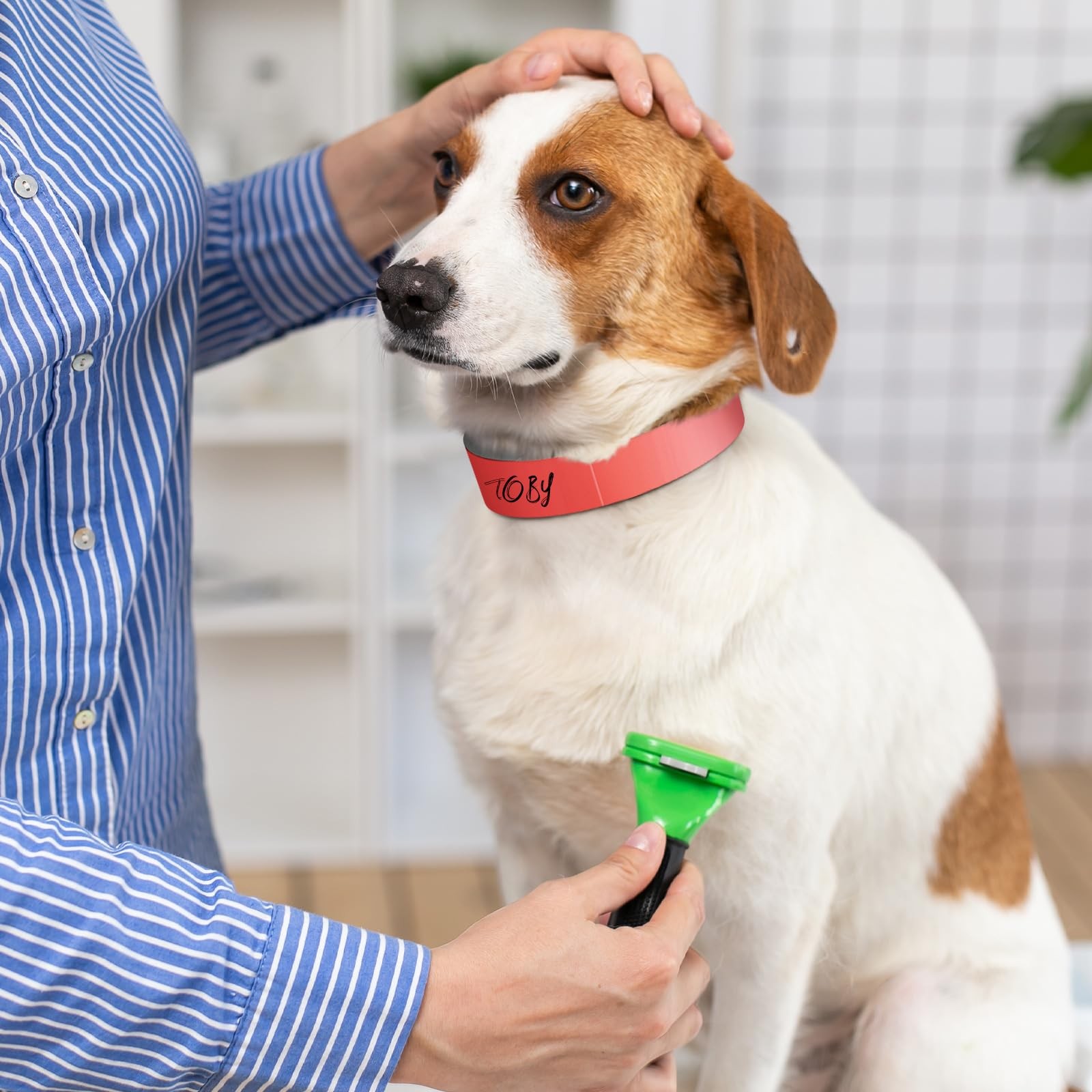 500 Count 20inch Adjustable Paper Dog Collars with Tear Resistant Waterproof ...