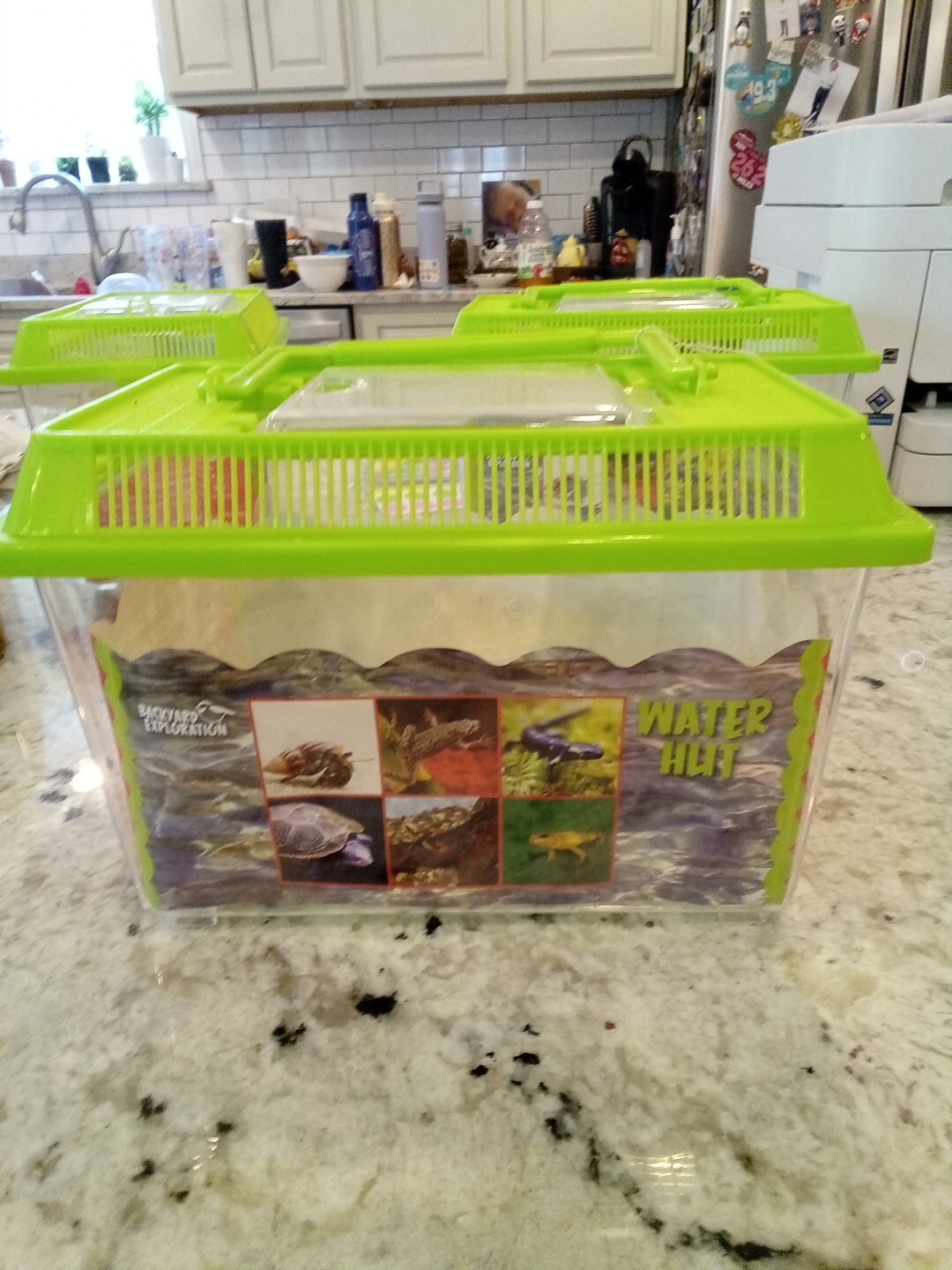 Toysmith Backyard Water Hut