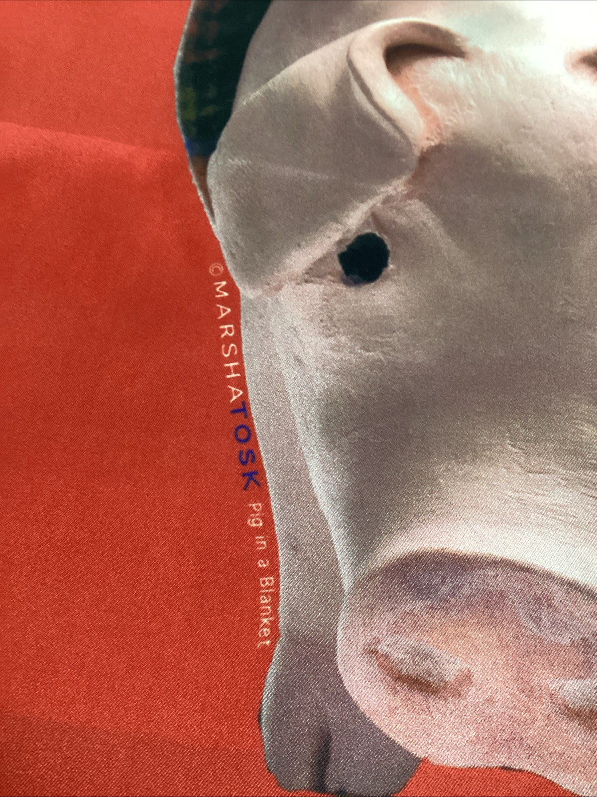Pigs In A Blanket 100% Silk Scarf Red Pink Black NEW 54" x 12"