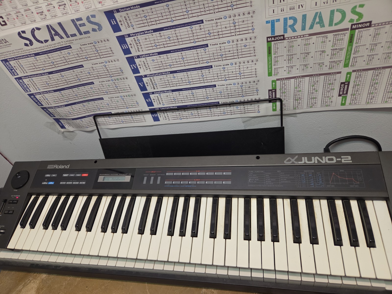 Roland Alpha Juno 2 JU2 Programmable Synthesizer