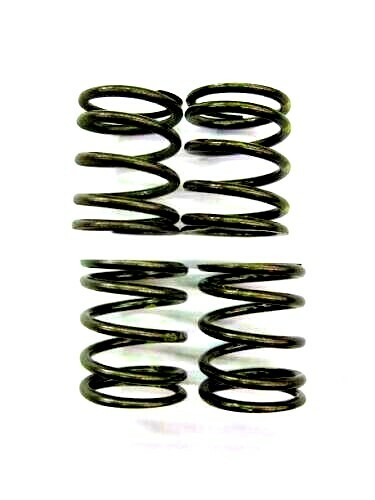 BMW 700 Coupe External Valve Spring Set NOS NEW #765A