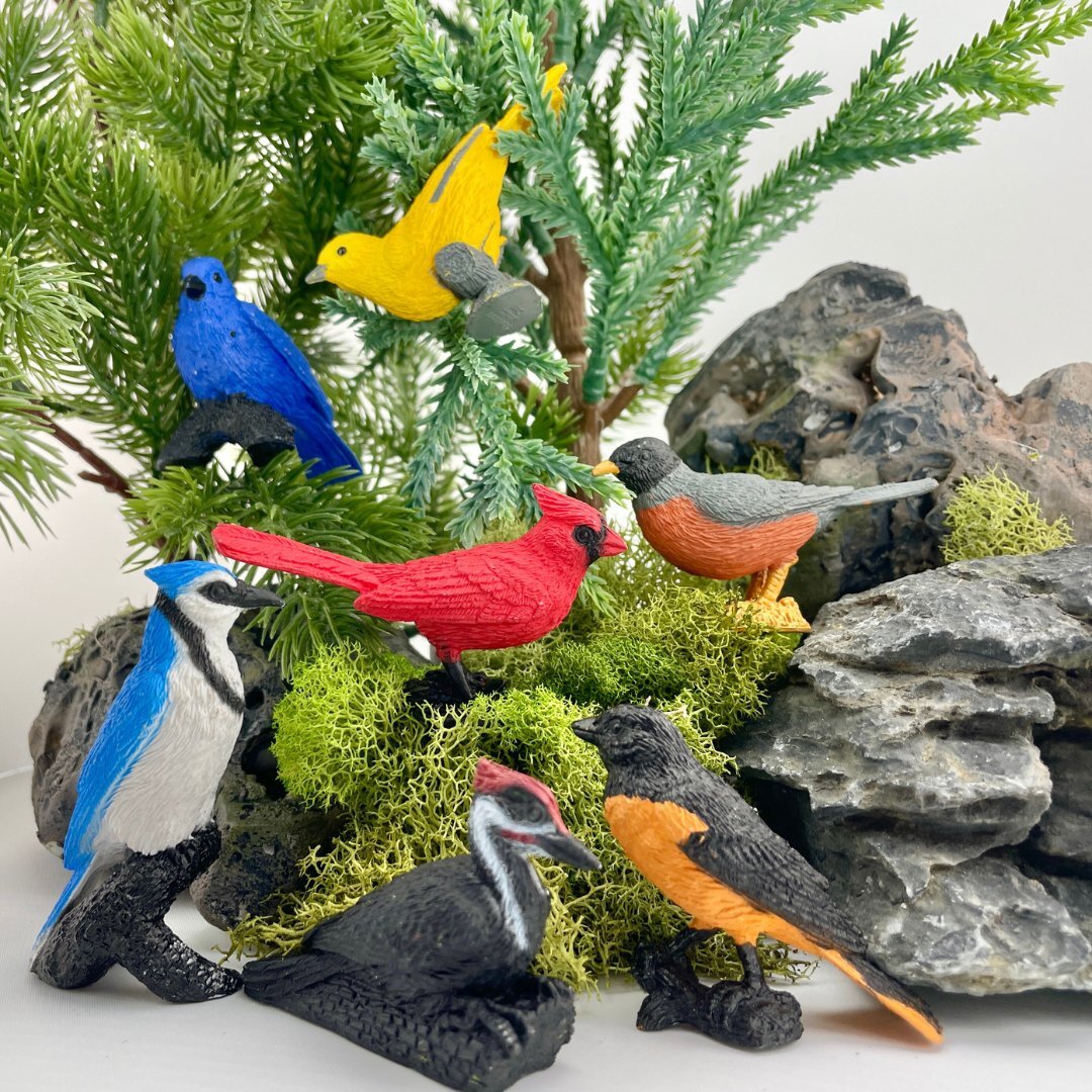 Safari Ltd Backyard Birds Toys TOOB® Miniature Toy Figurine Set for Kids