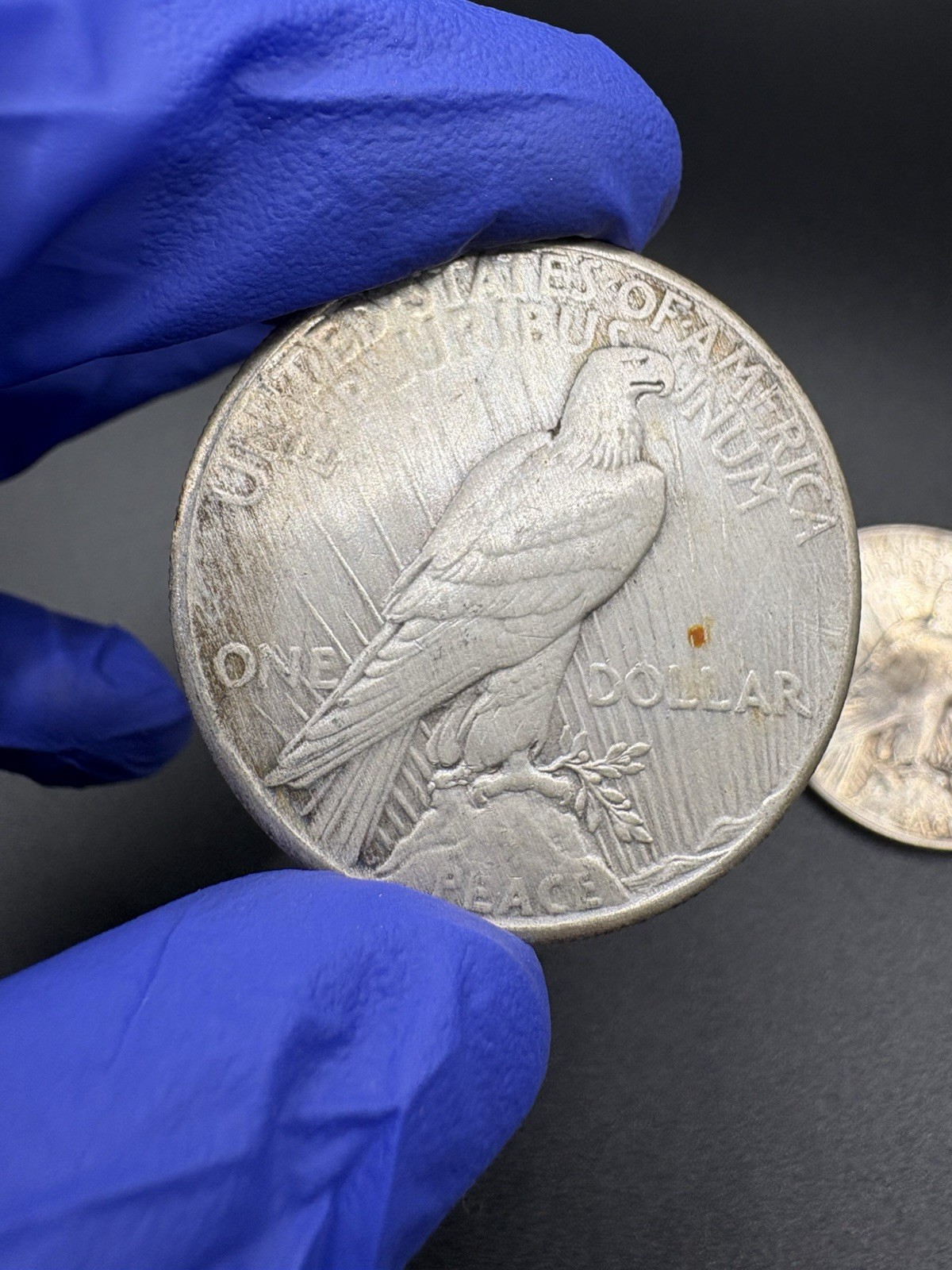 1921/1928 Key Date Peace Silver Dollars Cleaned