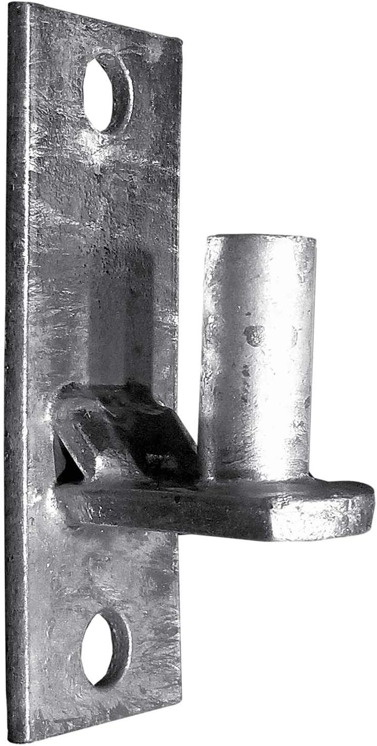 Rust-Resistant Wall Mount Hinges 2 Pack