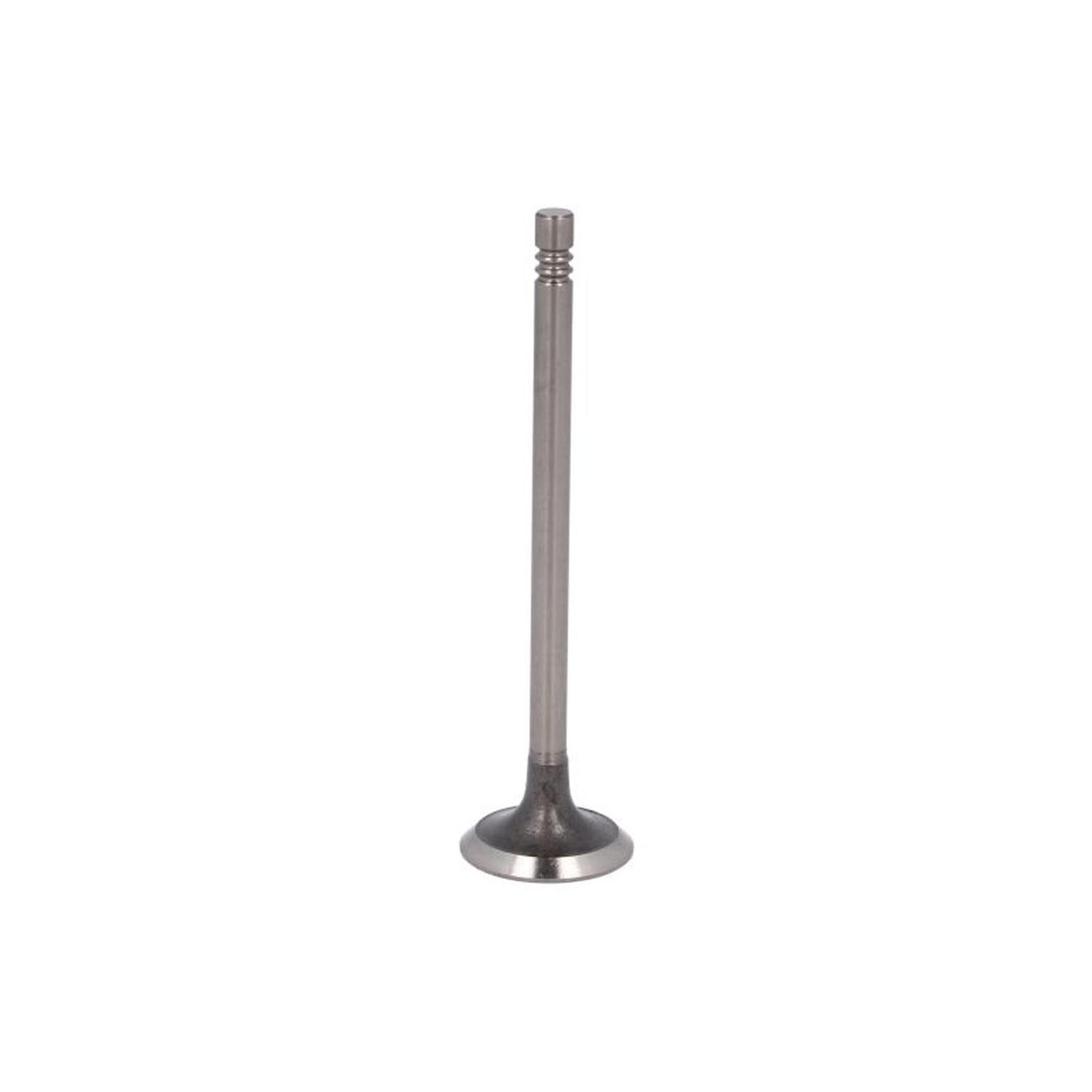 FITS PARADOWSCY PREN102 INTAKE VALVE OE REPLACEMENT