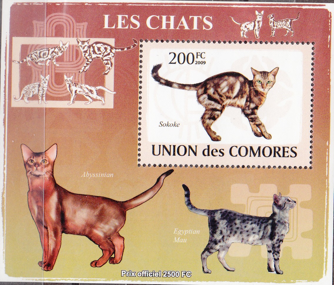W COMORO Y2009 (50) (1) CATS