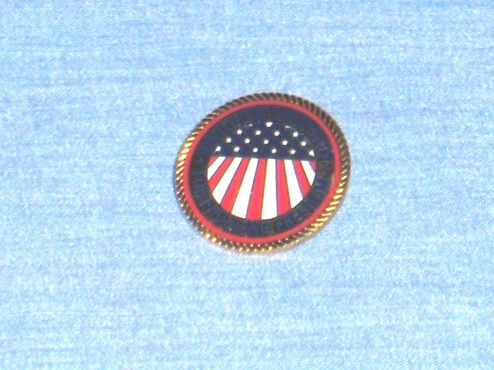 #1622*- GOLD TONE FREEDOM PIN FOR HAT OR LAPEL - AMERICAN FLAG - UNITED WE STAND