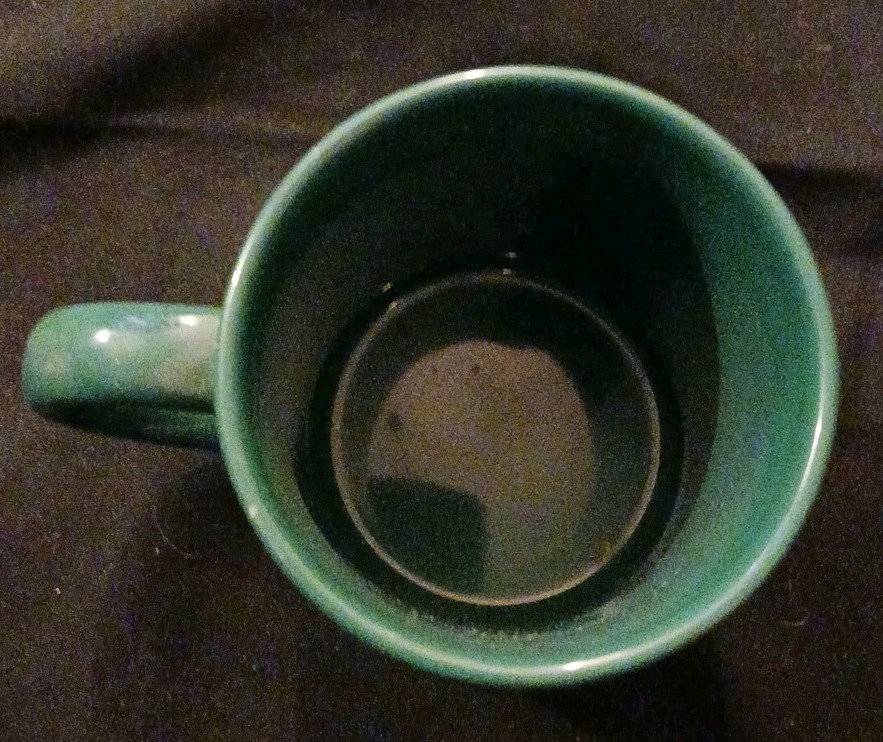 MICHIGAN STATE COFFEE CUP/ MUG ( FREE SHIPPING )