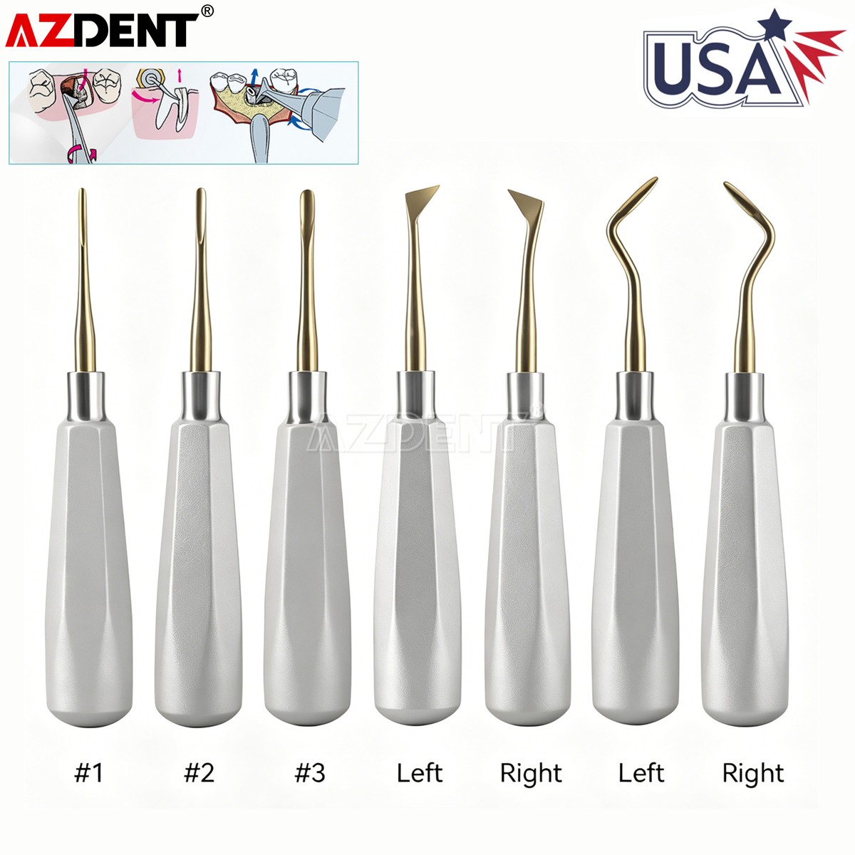 Elevadores dentales para extracción dental, luxadores de punta de raíz