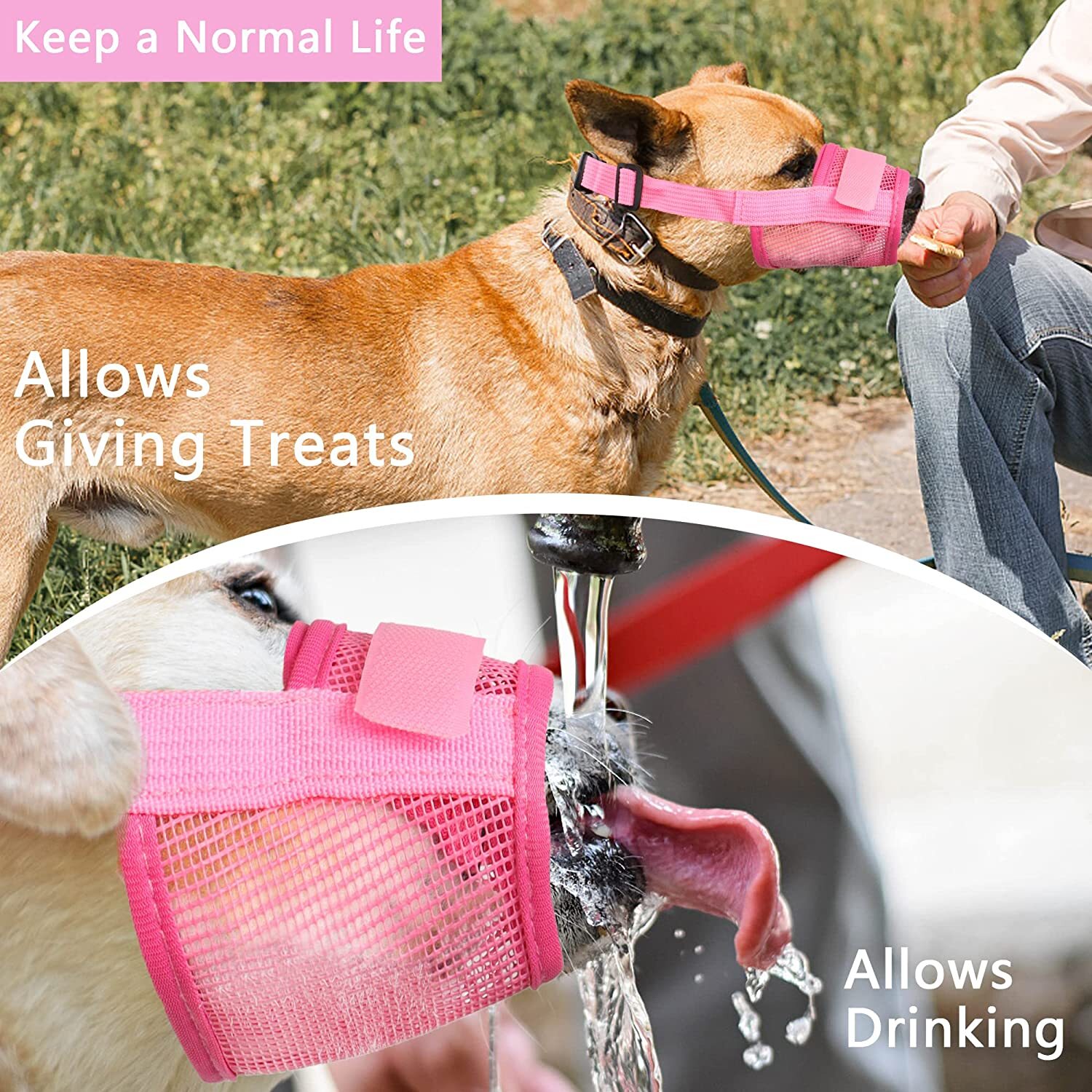 New Dog Muzzle Anti Stop Bite Barking Chewing Mesh Mask Training Pet Small Large
