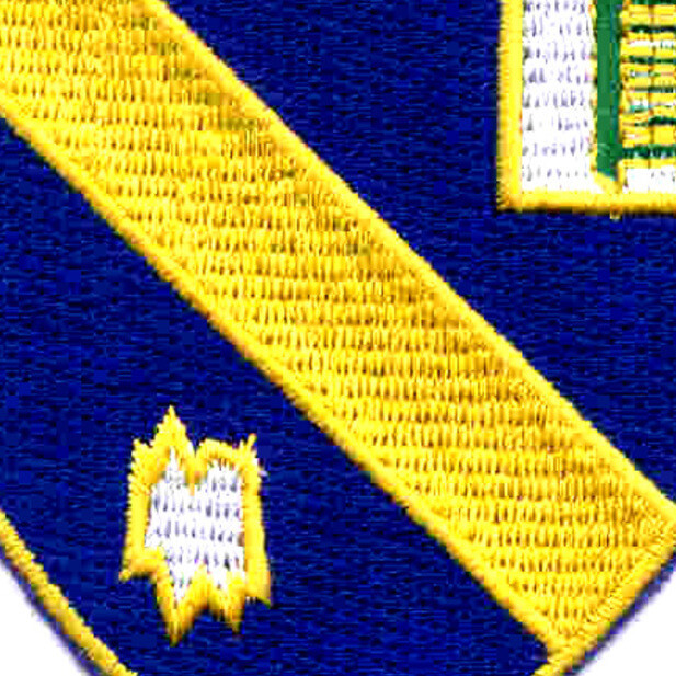 54th Infantry Regiment Patch