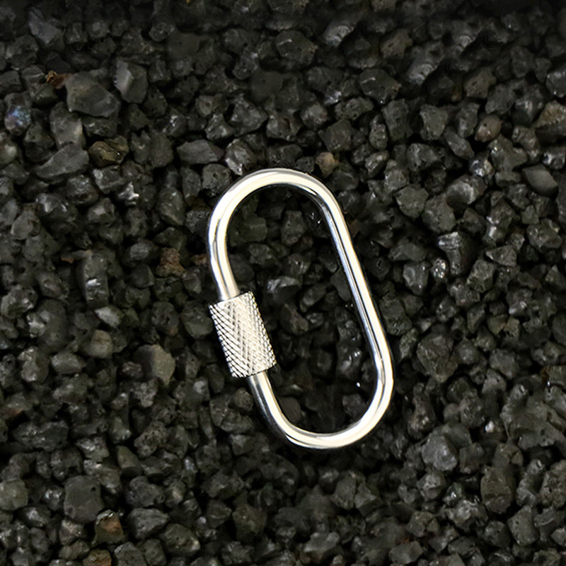 2pcs Mini Climbing Stainless Steel Screw Carabiner Lock Clasp Keychain Clip Hook