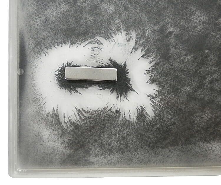 Magnetic Field Demonstrator - Iron Filings Sealed in Fluid