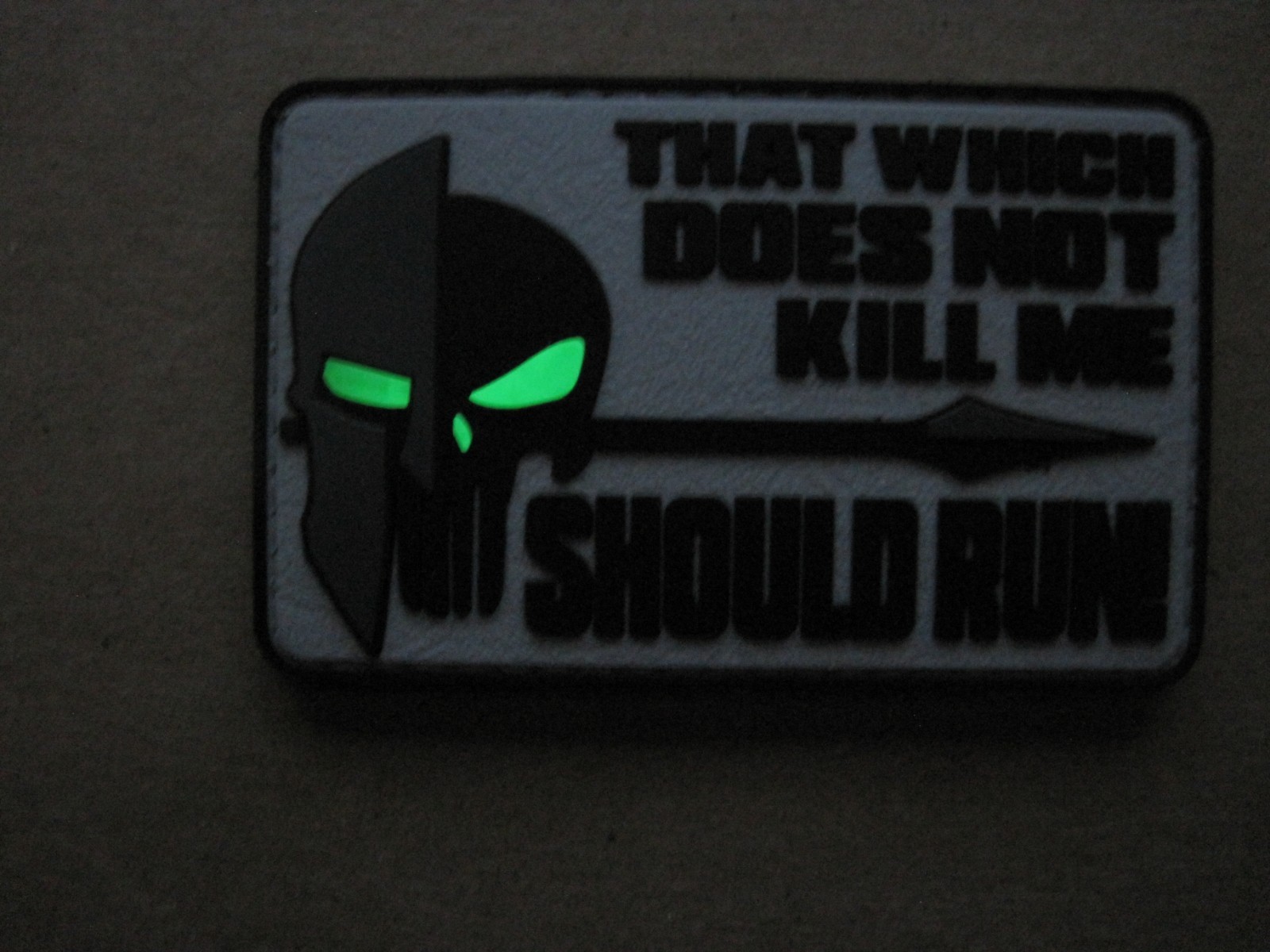 TACTICAL MORALE PATCH "THAT WHICH DOES NOT KILL ME SHOULD RUN" HOOK BACK LOOK!!
