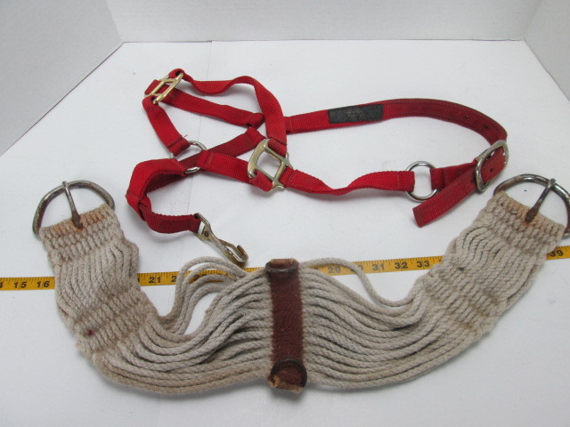 Horse Halter & Cinch Strap Medium Halter 33-1/2" Cinch Strap Western Tack Ride T